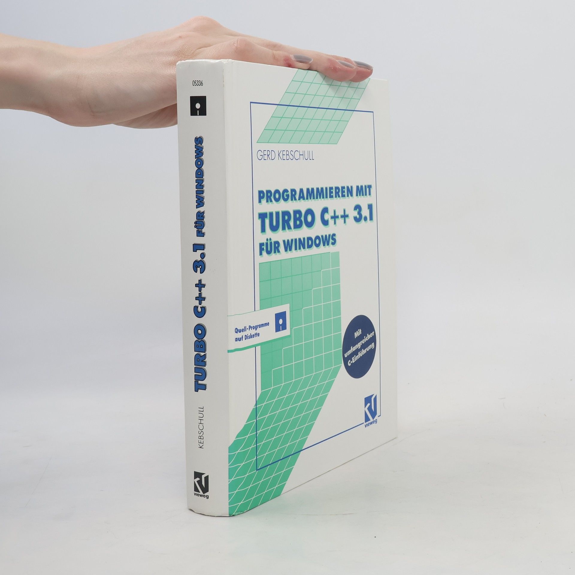 Programmieren mit Turbo C++3.1 für Windows