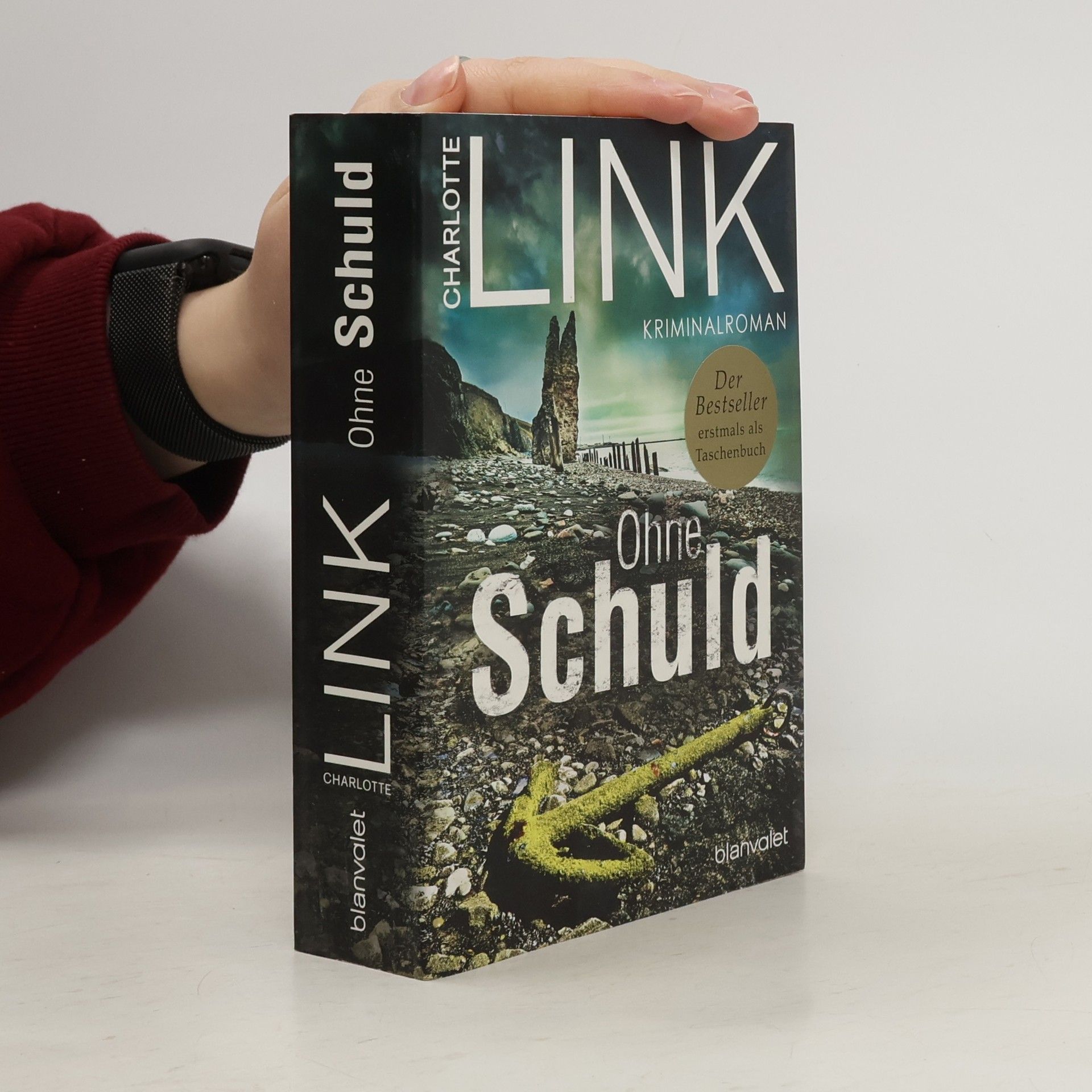 Charlotte Link Ohne Schuld