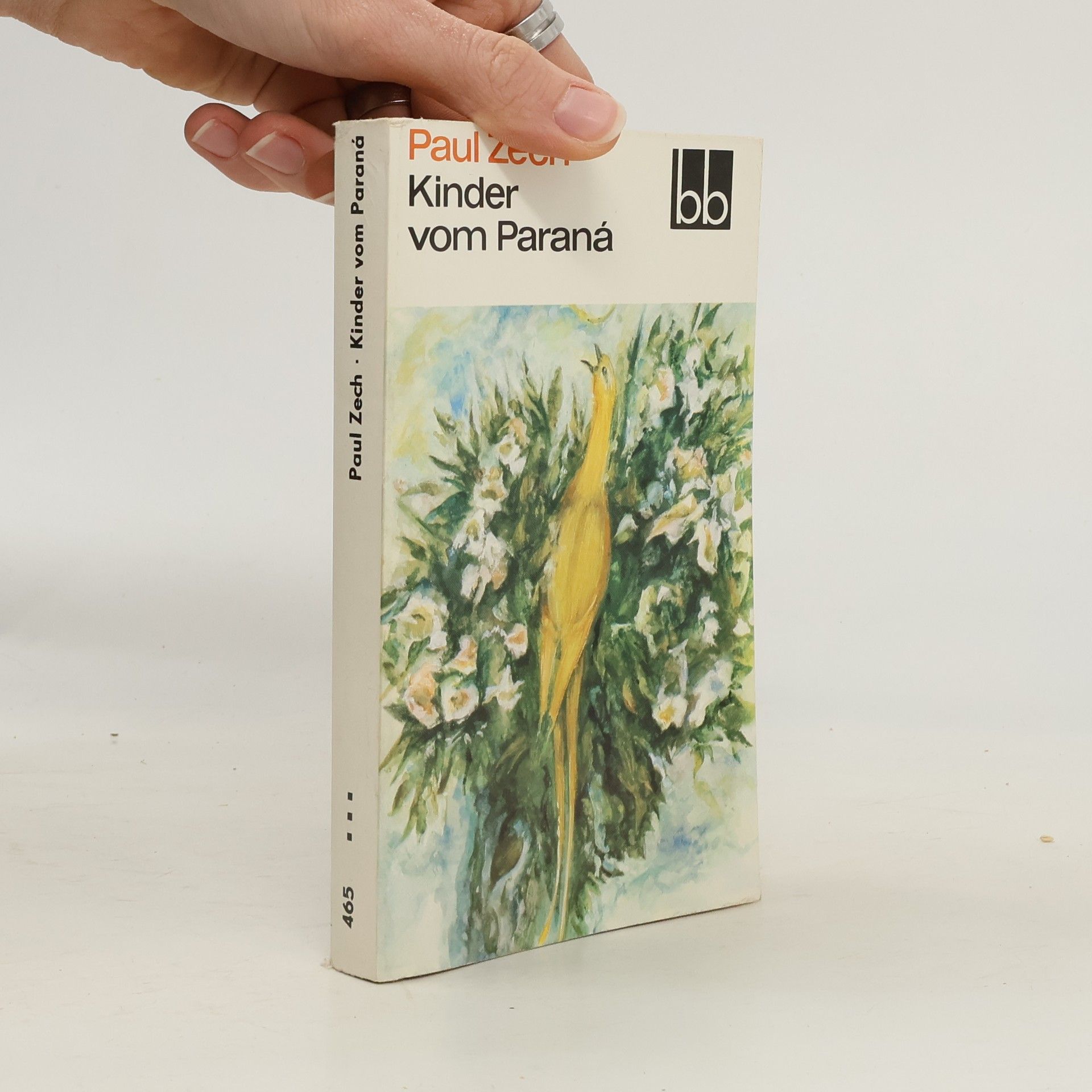 Paul Zech Kinder vom Paraná