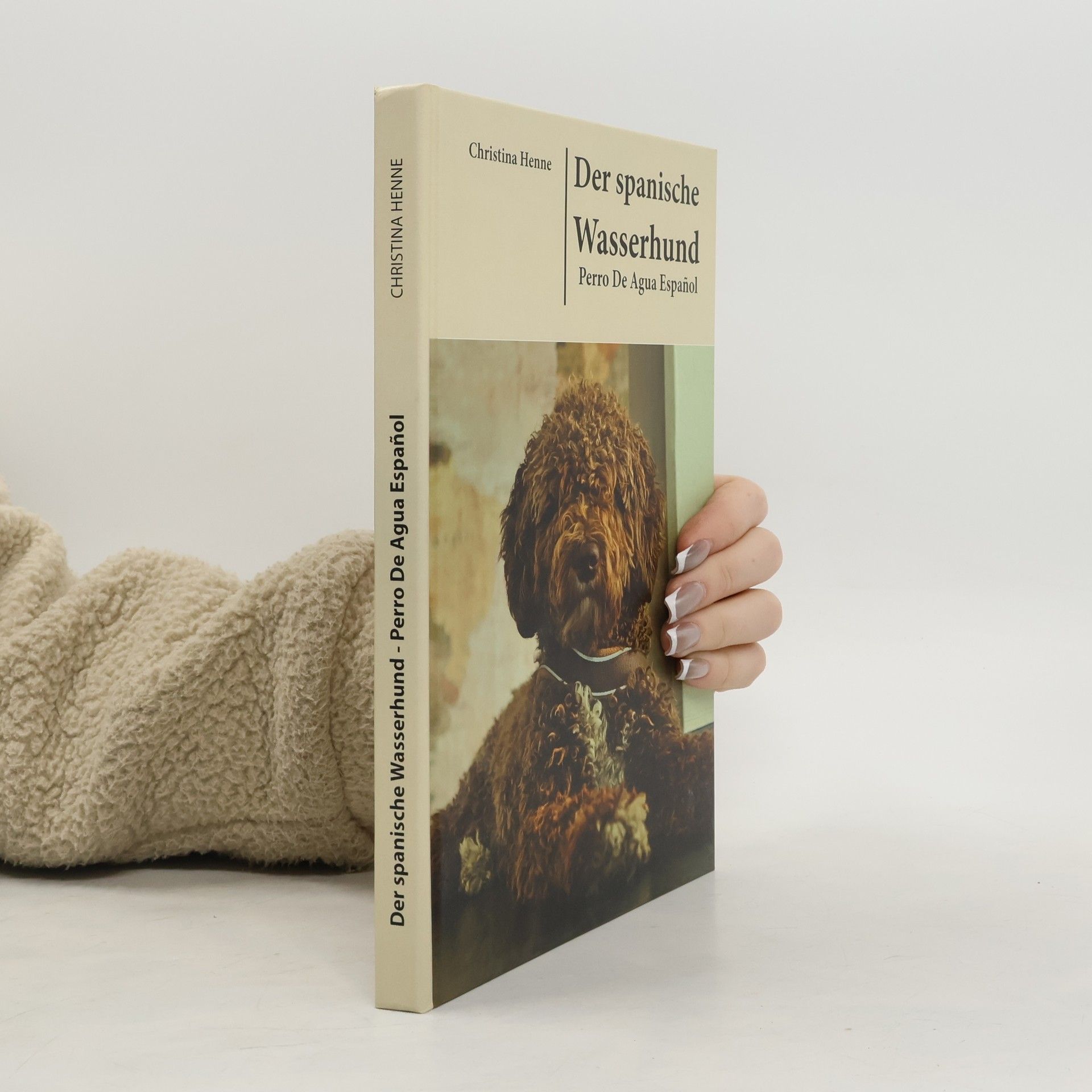 Der spanische Wasserhund