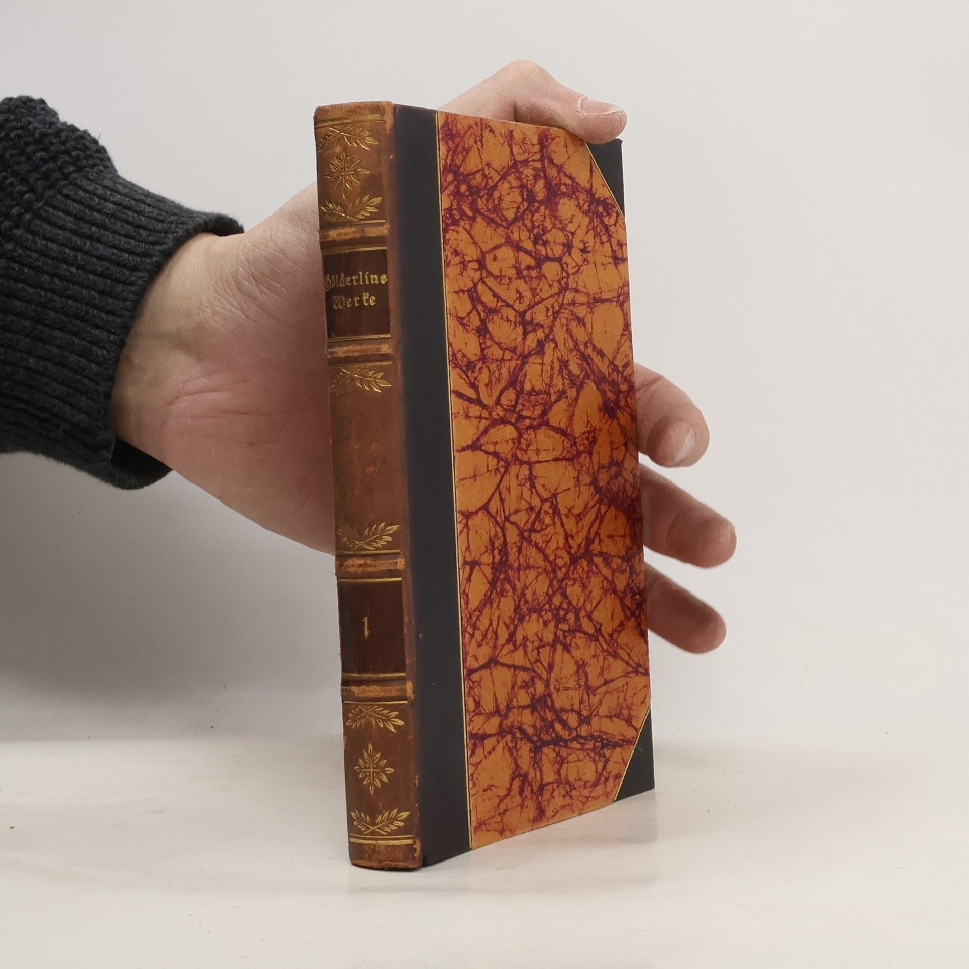 Friedrich Hölderlin Hölderlins Werke 1