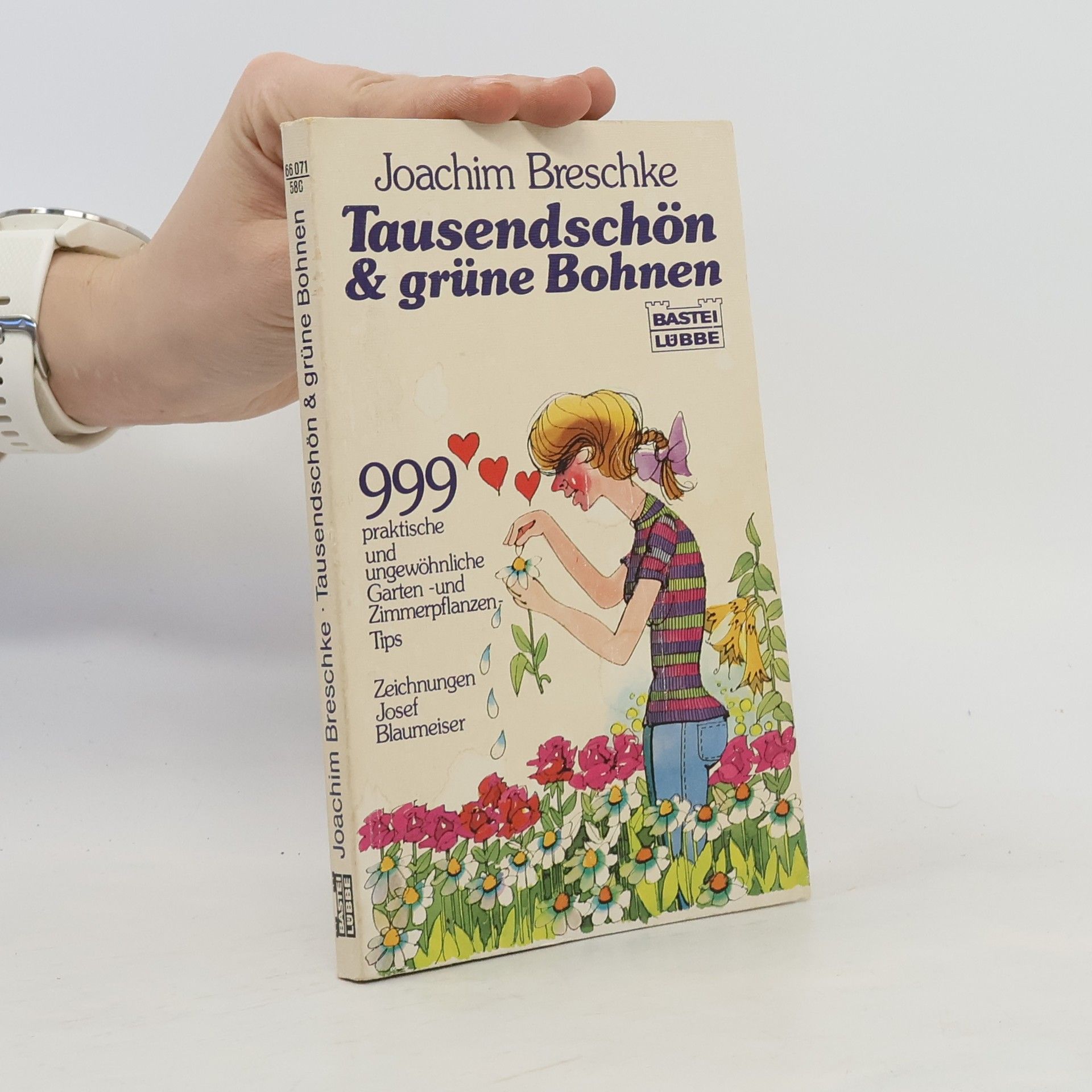 Tausendschön & [und] grüne Bohnen