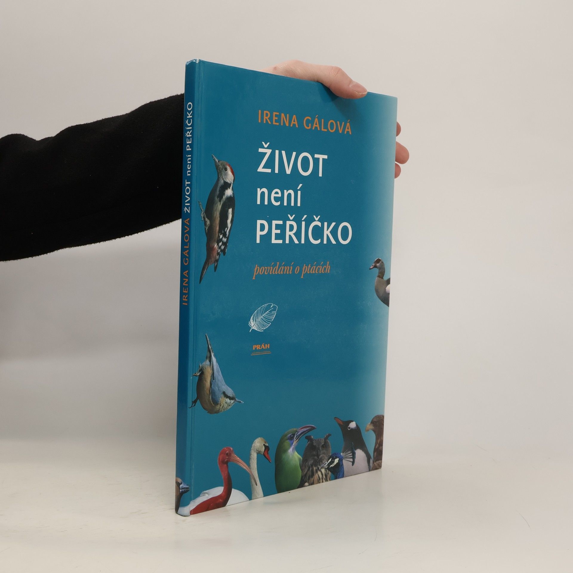 Irena Gálová Život není peříčko: Povídání o ptácích