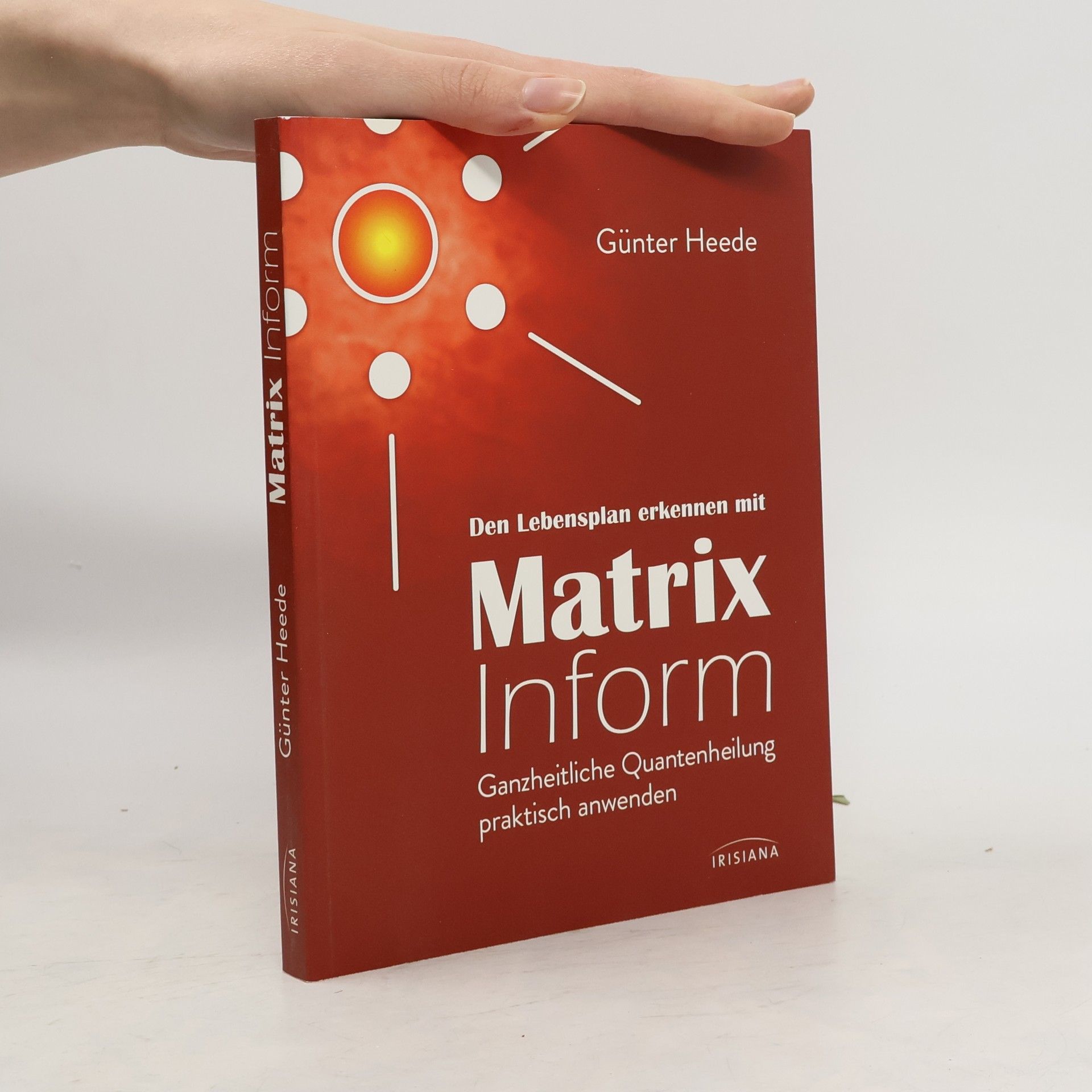 Günter Heede Den Lebensplan erkennen mit Matrix Inform