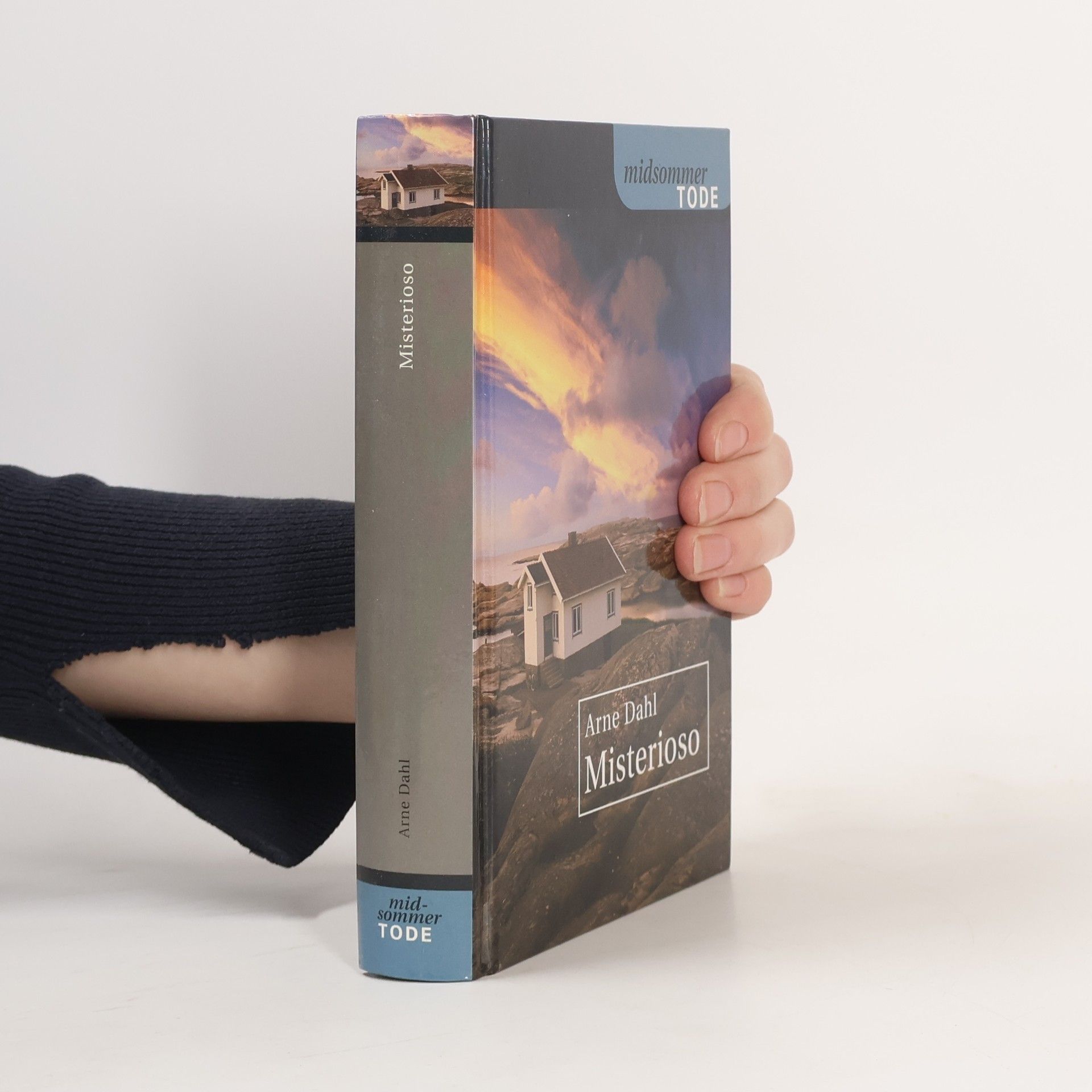 Arne Dahl Misterioso