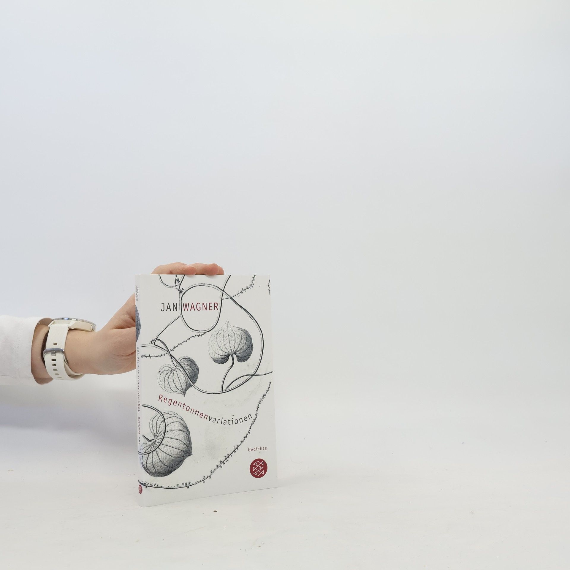 Jan Wagner Regentonnenvariationen