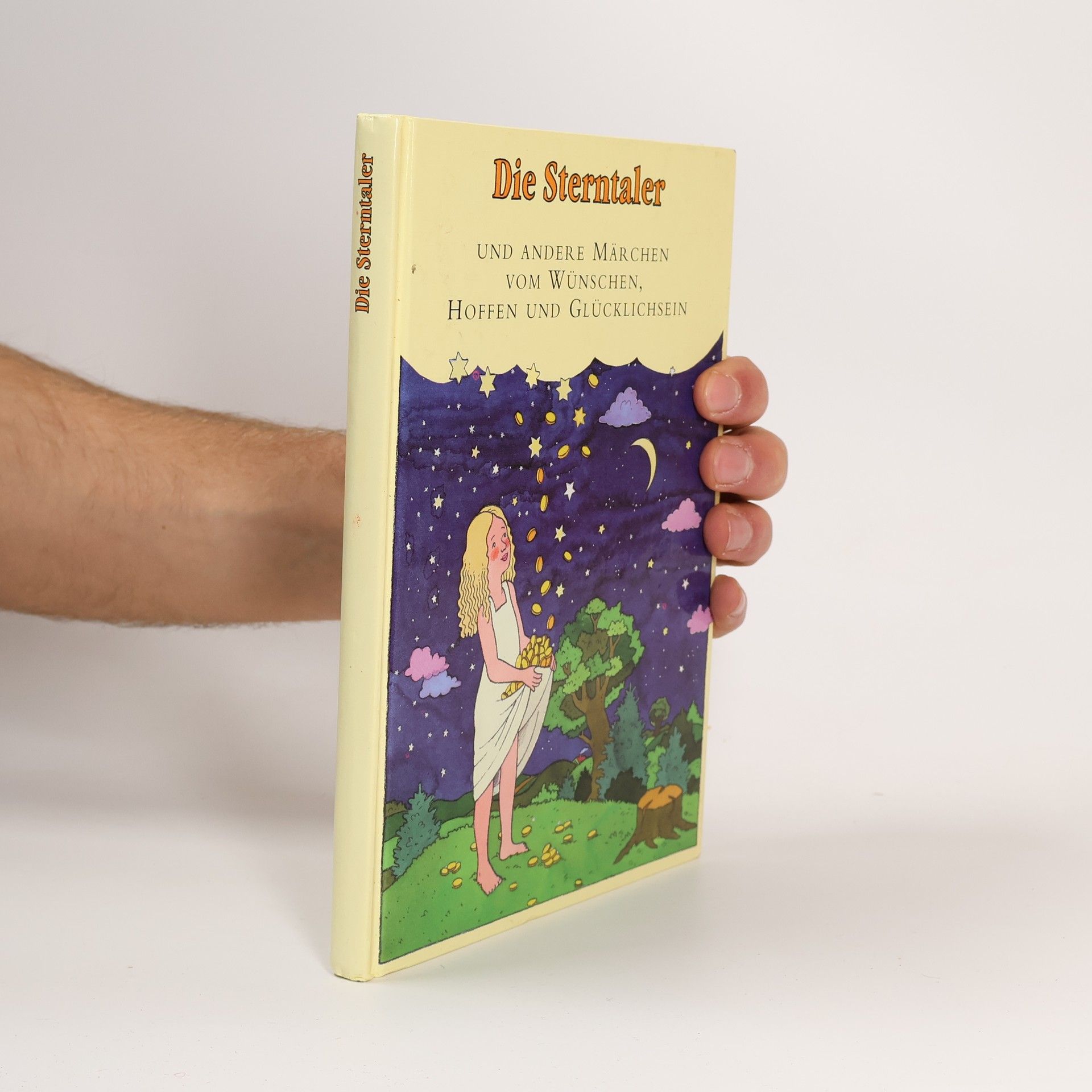 Hans-Christian Andersen Die Sterntaler und andere Märchen von Wünschen, Hoffen und Glücklichsein