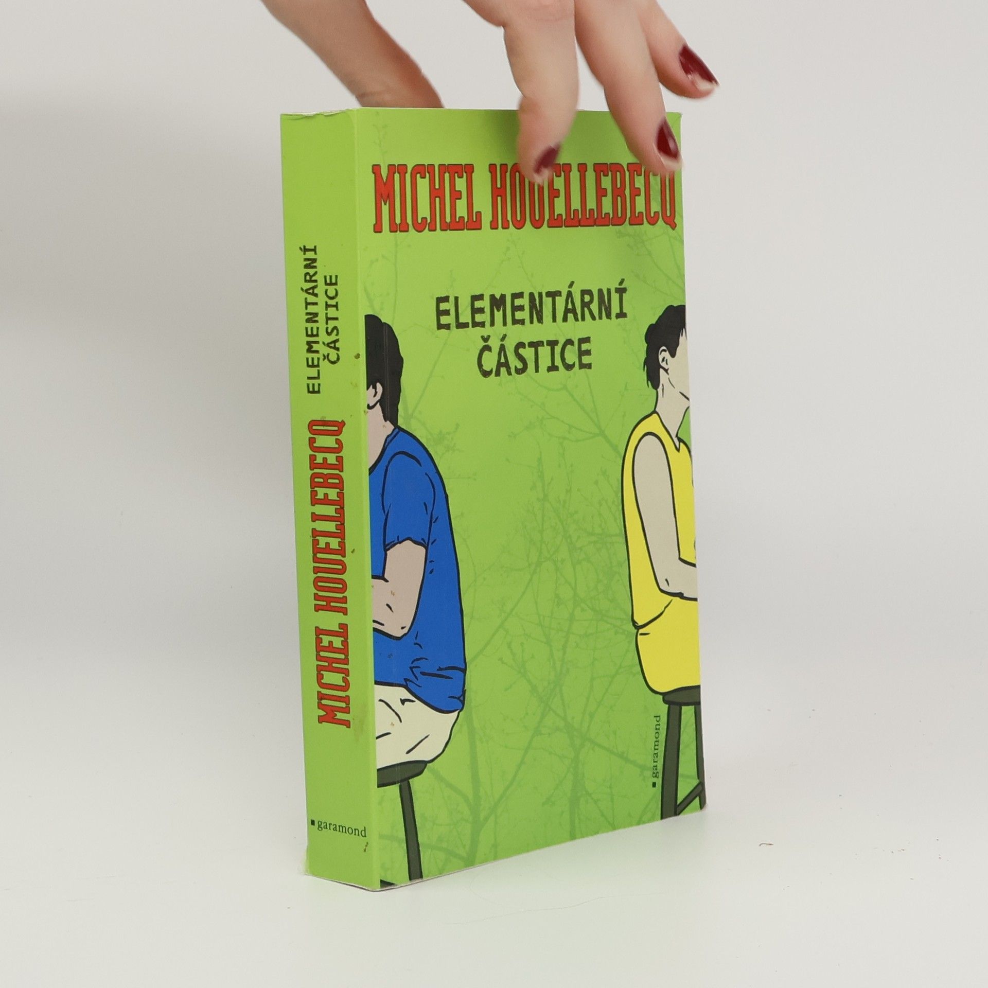 Michel Houellebecq Elementární částice