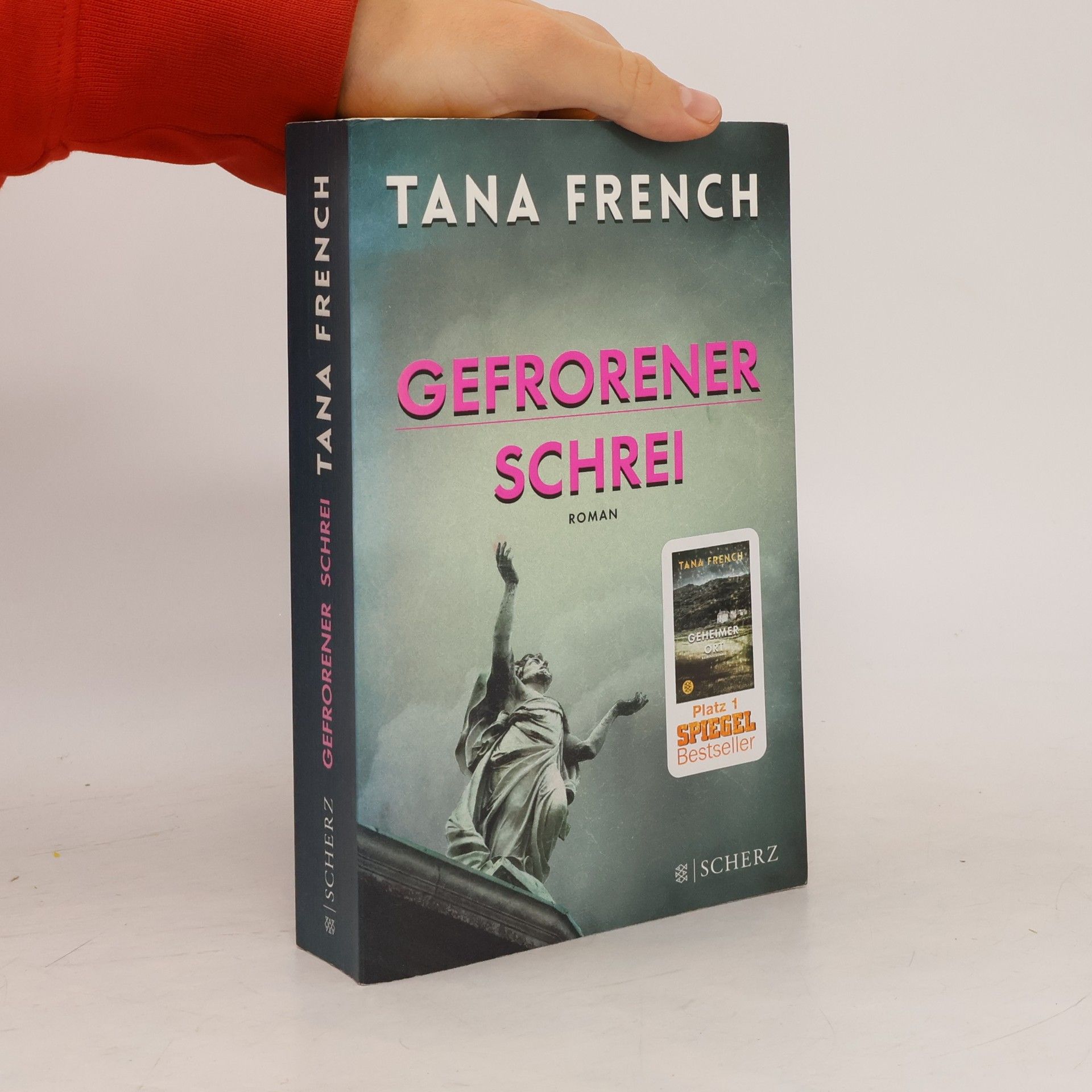 Tana French Gefrorener Schrei