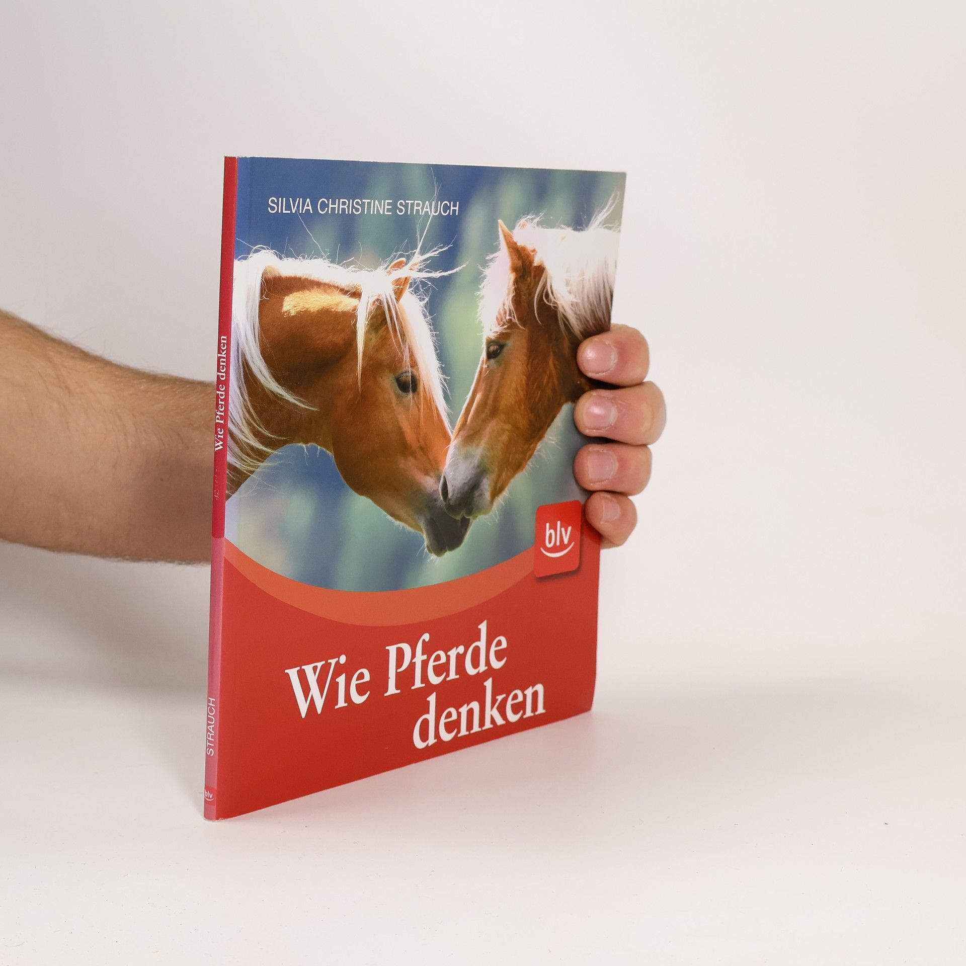 Silvia Christine Strauch Wie Pferde denken