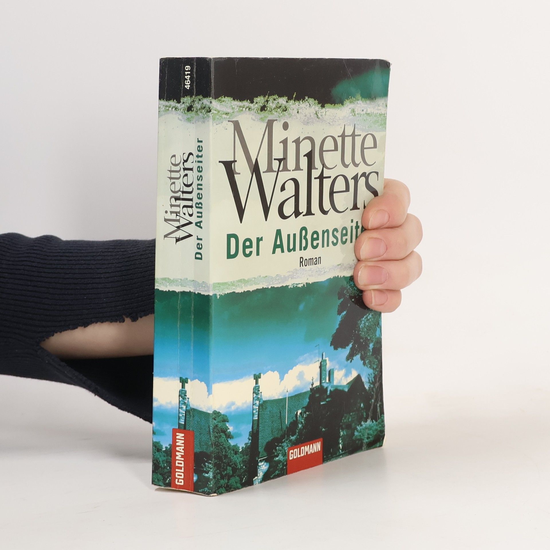 Minette Walter Der Außenseiter