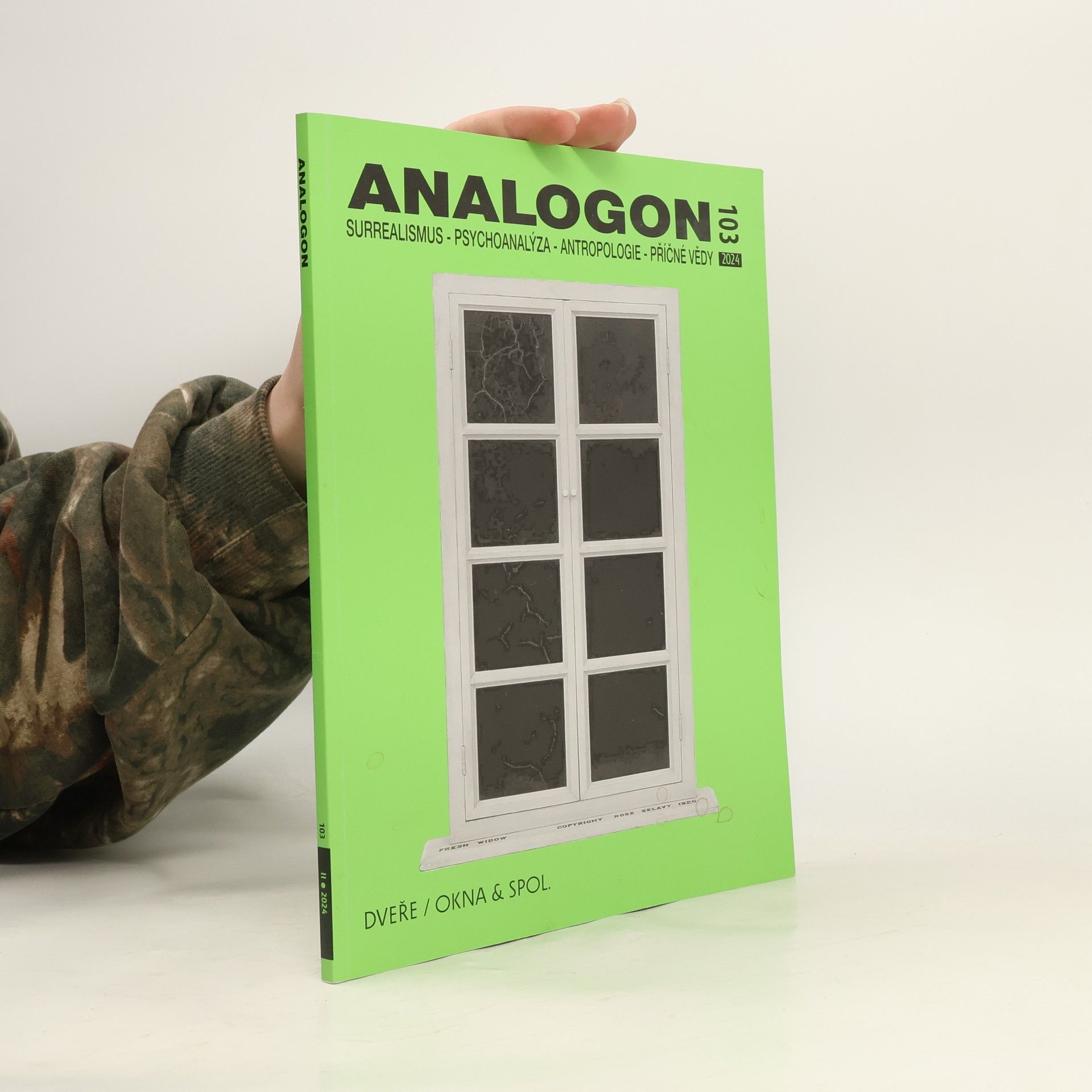 Various authors Analogon II/2024