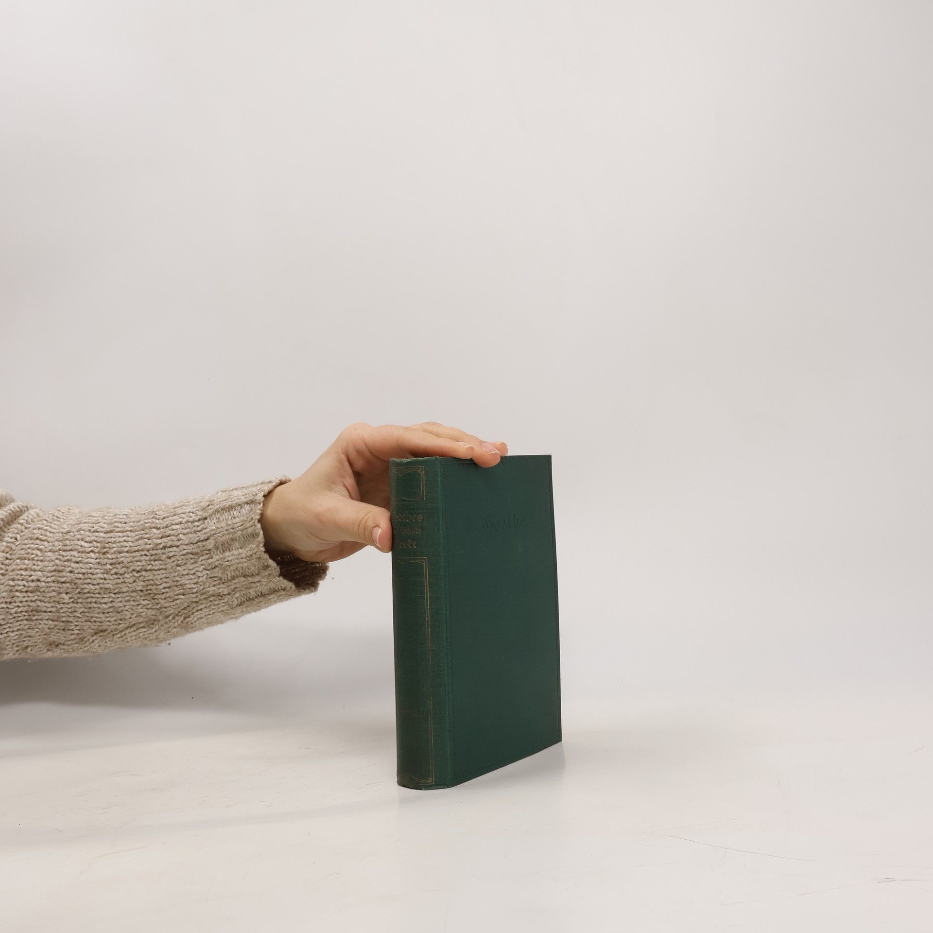 Autorenkollektiv Goethes ausgewählte Werke in sechzehn Bänden 13