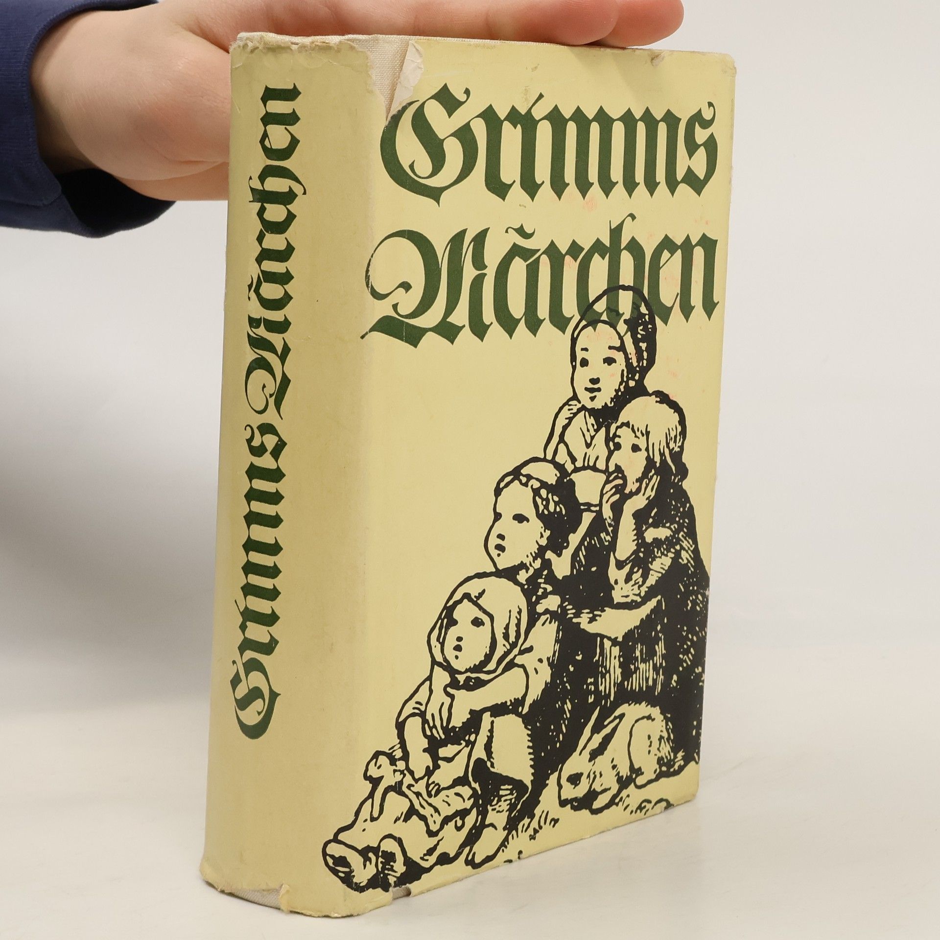 Autorenkollektiv Grimms Märchen