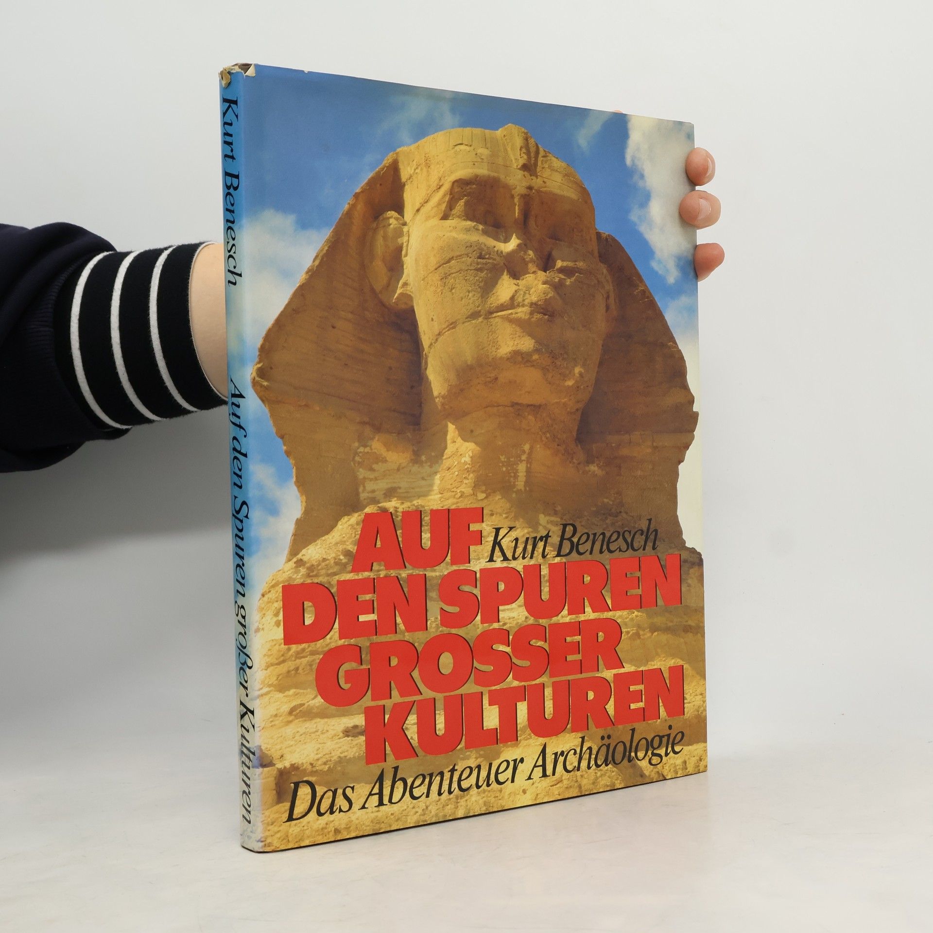 Kurt Benesch Auf den Spuren großer Kulturen. Das Abenteuer Archäologie
