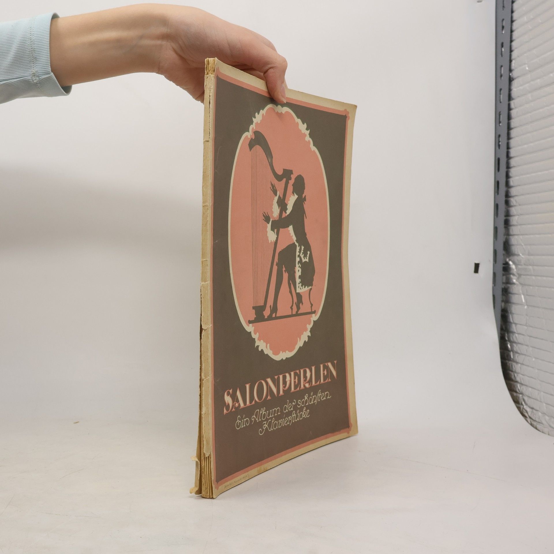 Kolektív autorov Salonperlen