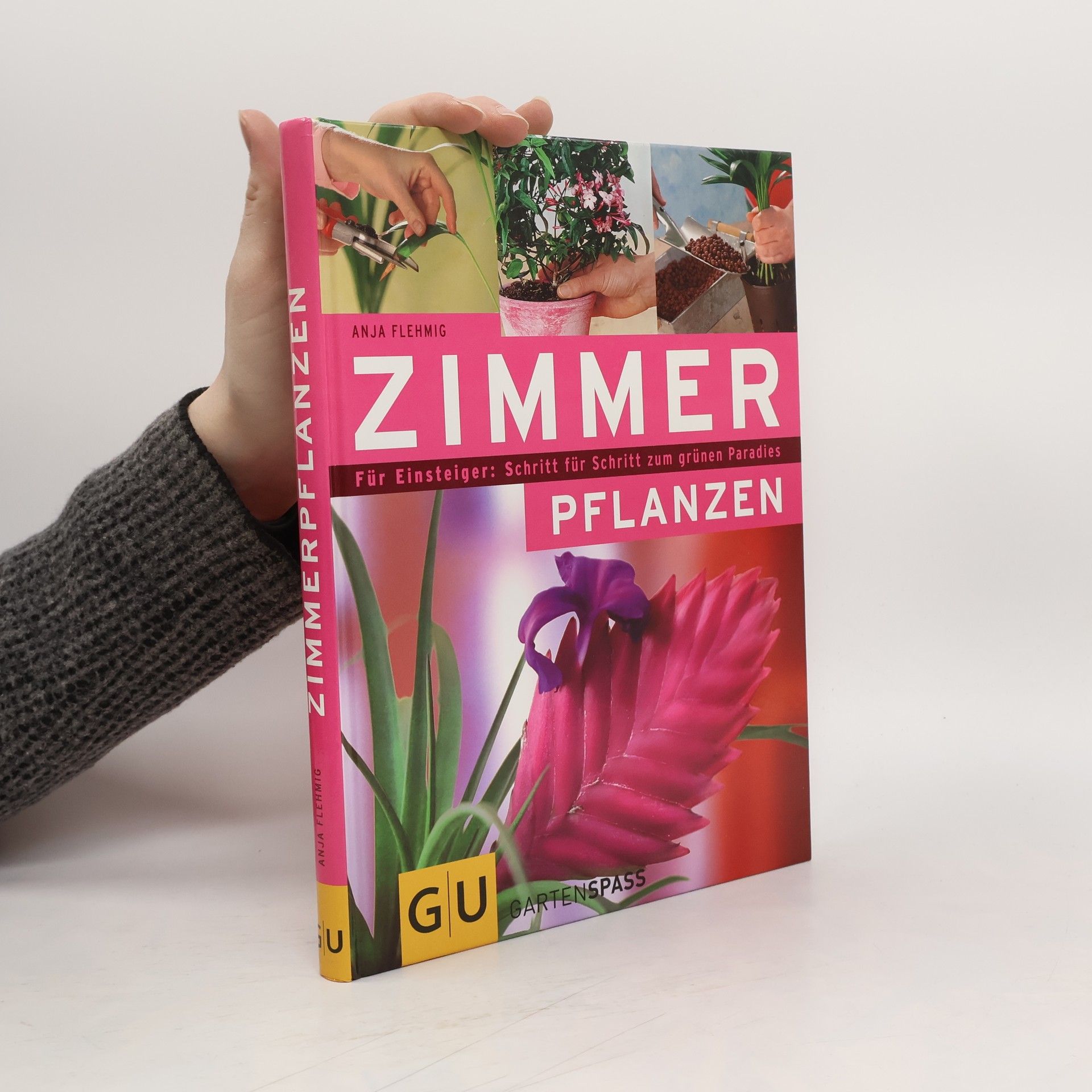 Anja Flehmig Zimmerpflanzen