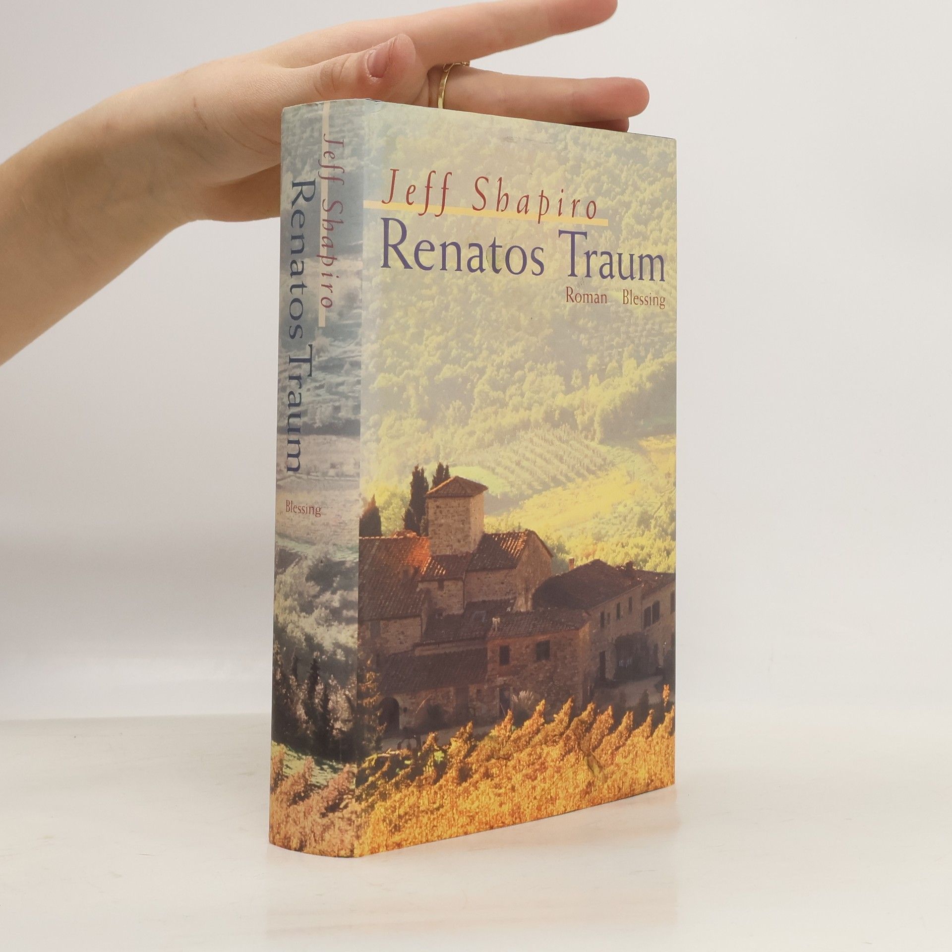 Jeff Shapiro Renatos Traum