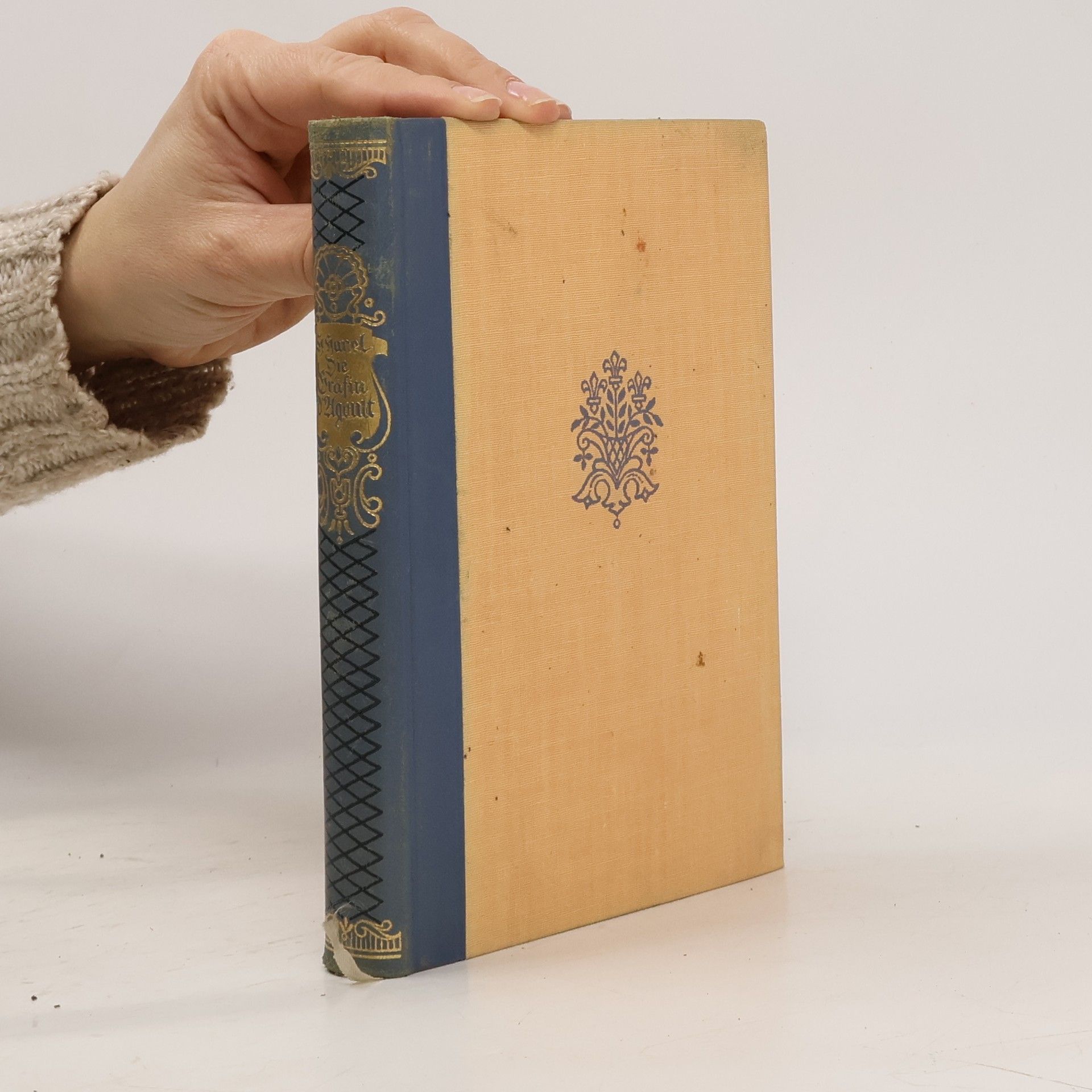 Hans Hänel Die Gräfin d'Agoult