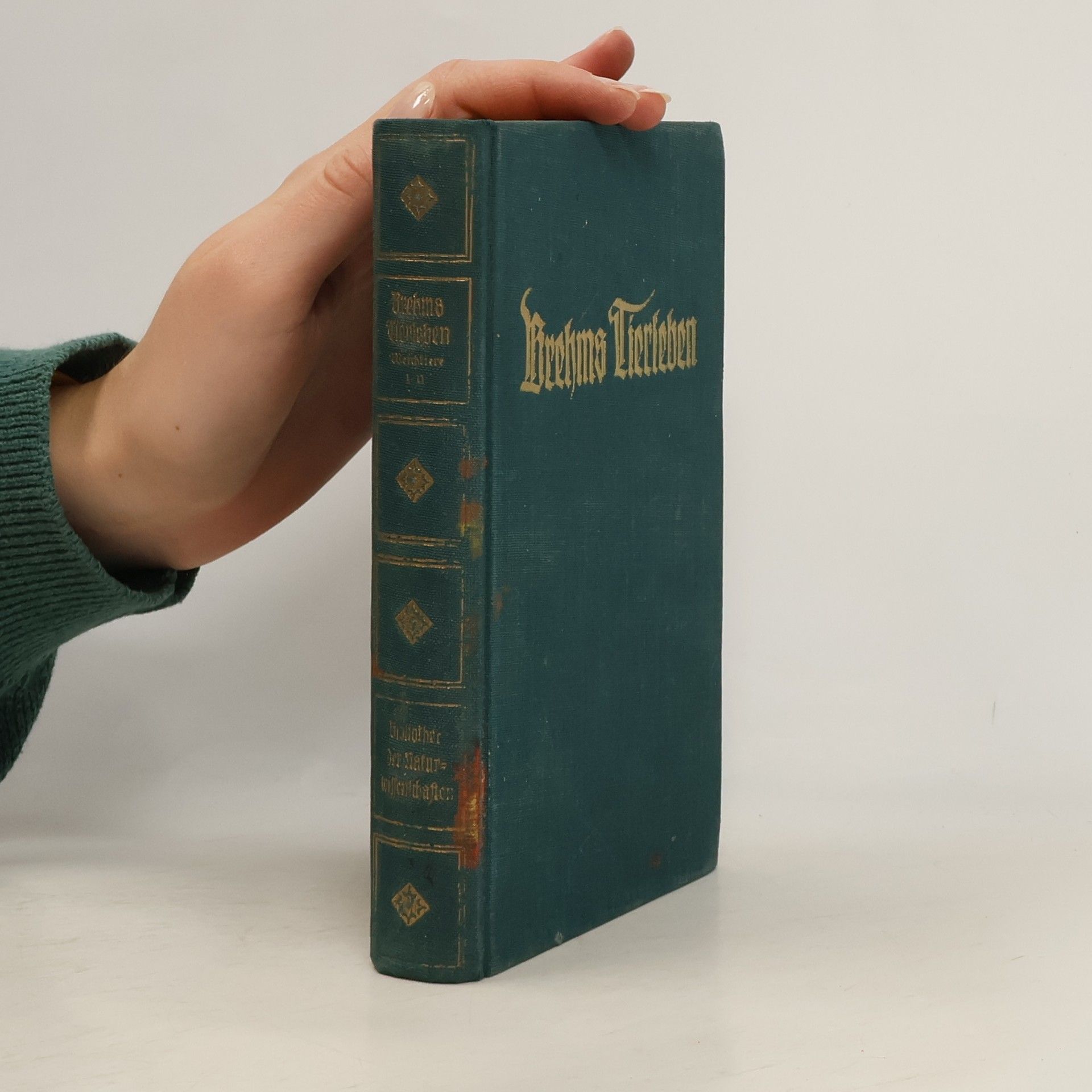 Adolf Mener Brehms Lierleben 9