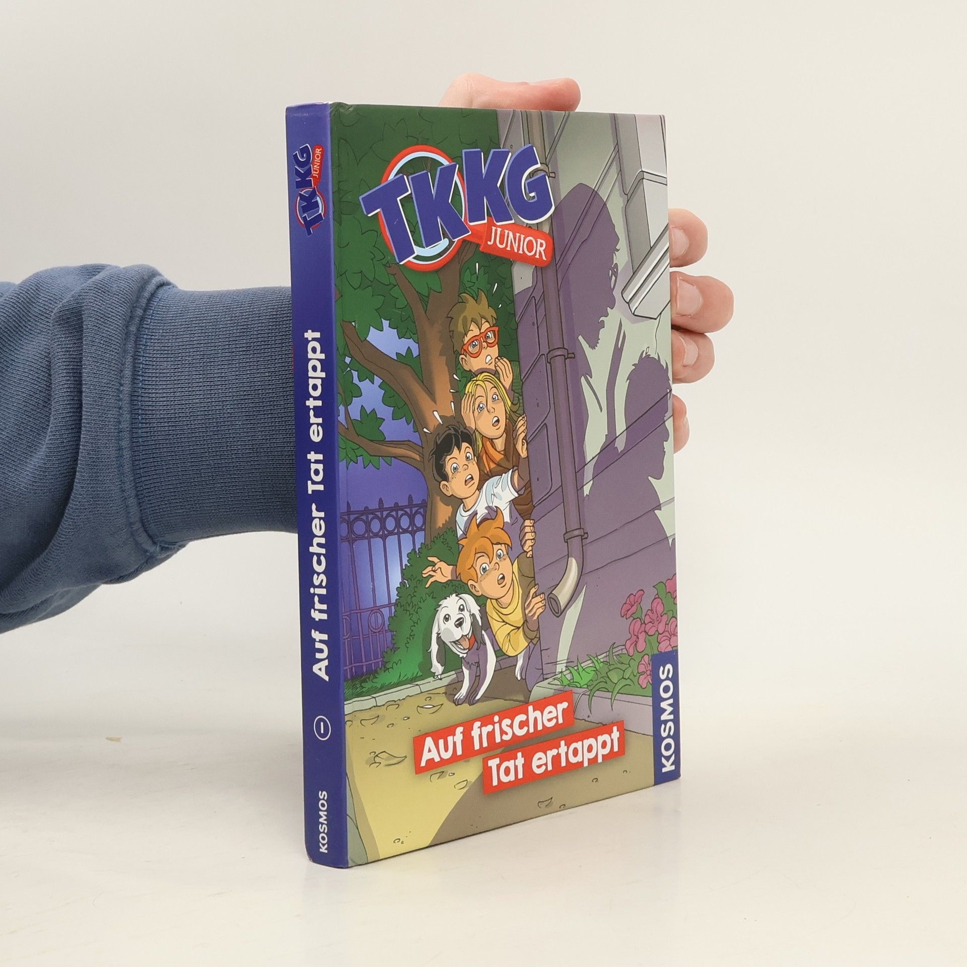 Kirsten Vogel TKKG Junior - auf frischer Tat ertappt