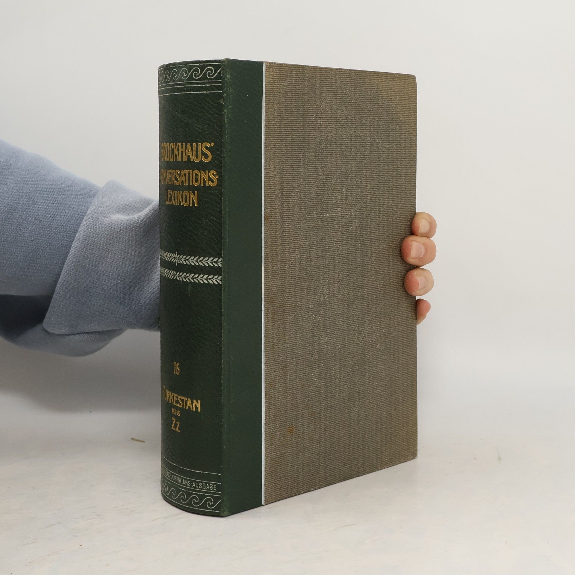 Kolektív autorov Brockhaus' Konversations-Lexikon 16