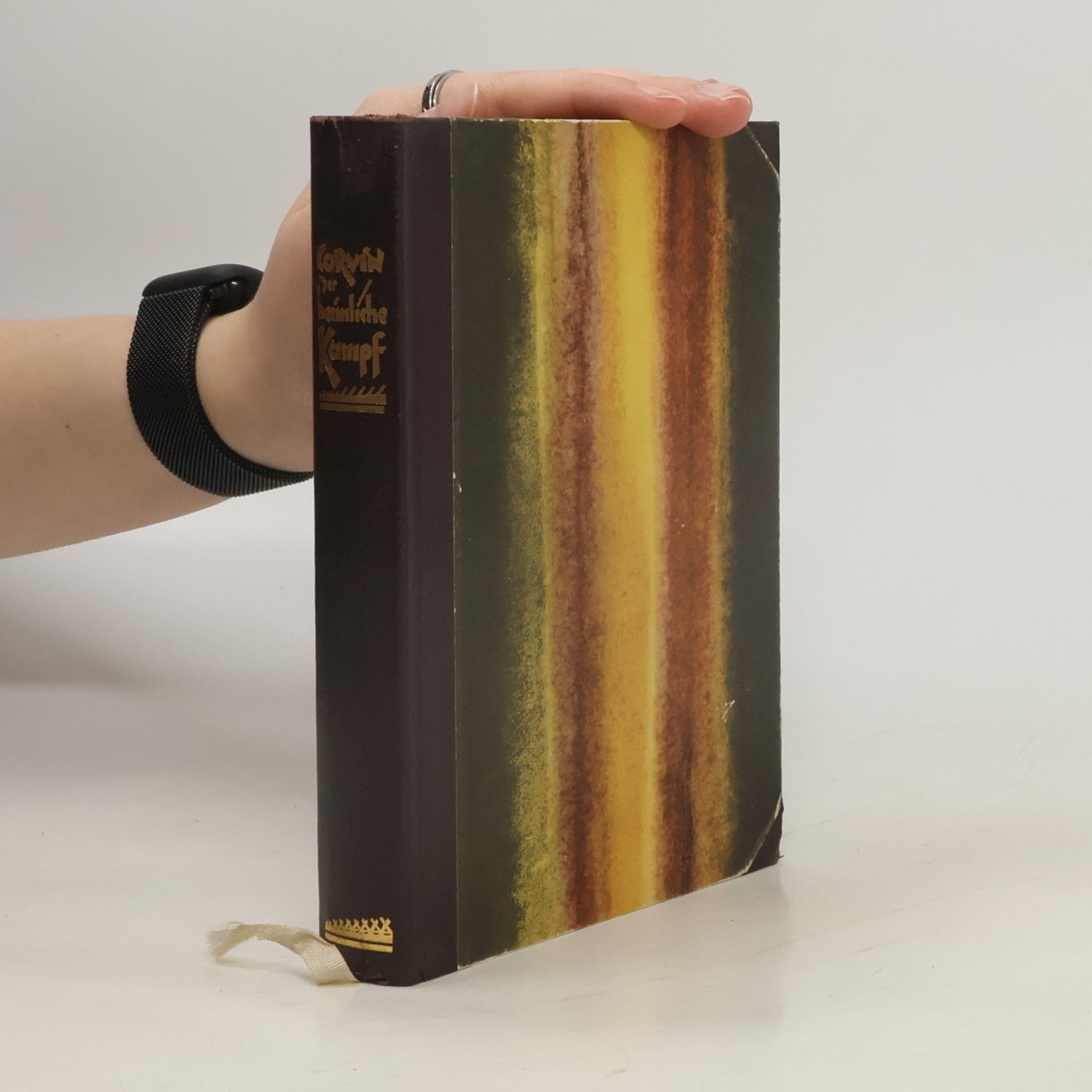 Michael Corvin Der heimliche Kampf