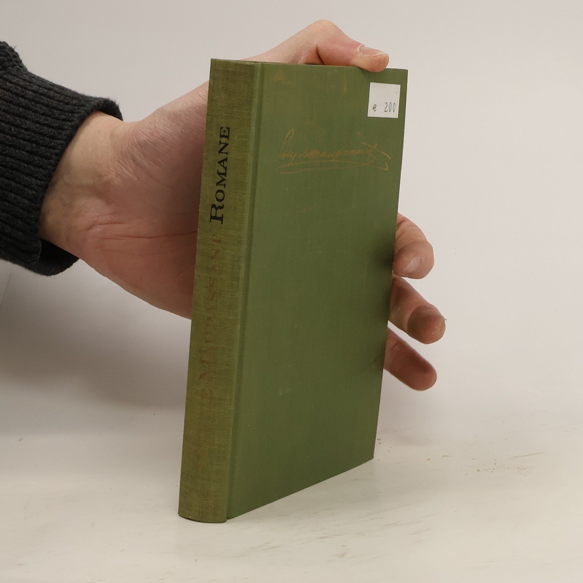 Guy de Maupassant Das erzählerische werk