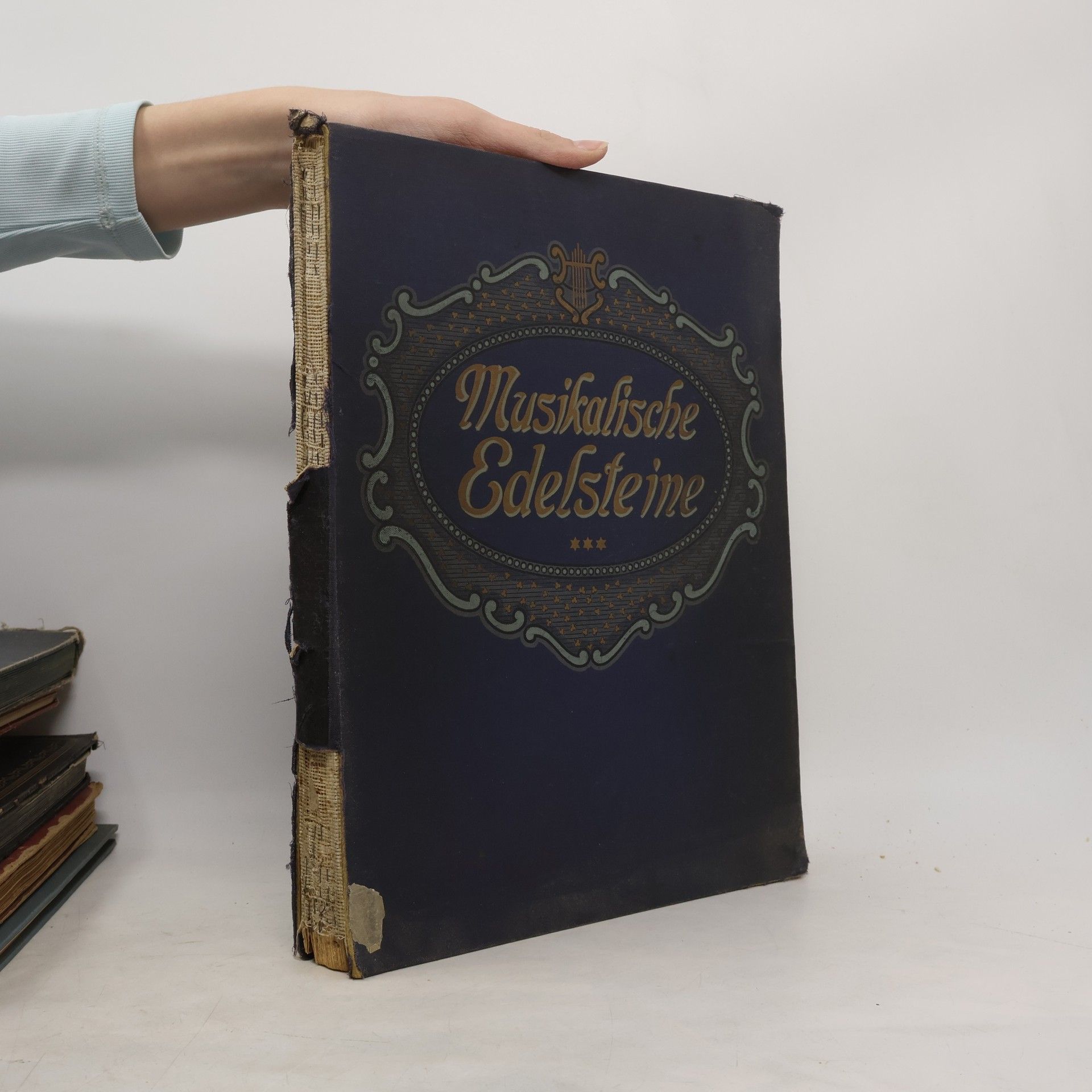 Kolektív autorov Musikalische Edelsteine III