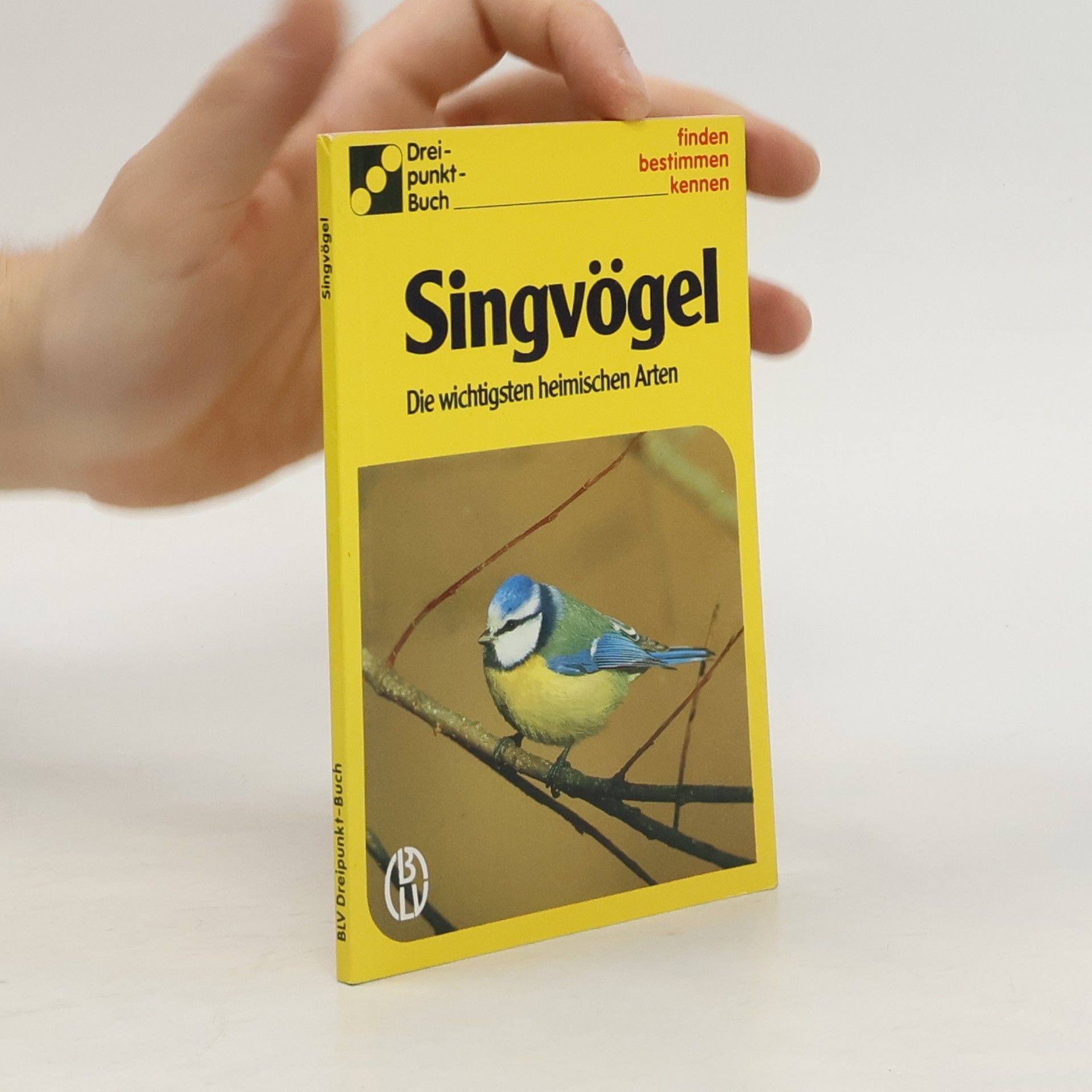 Alfred Handel Singvögel