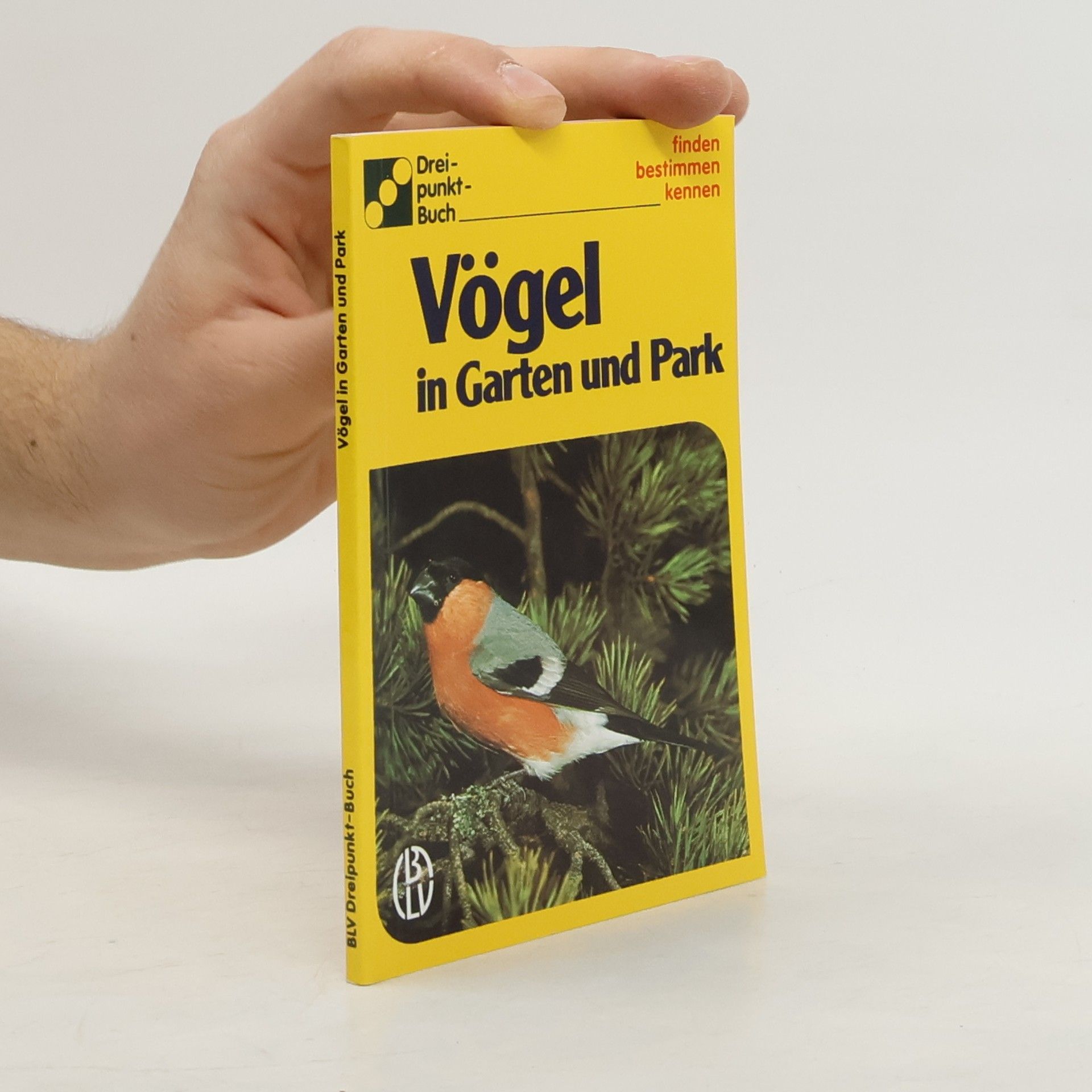 Autorenkollektiv Vögel in Garten und Park