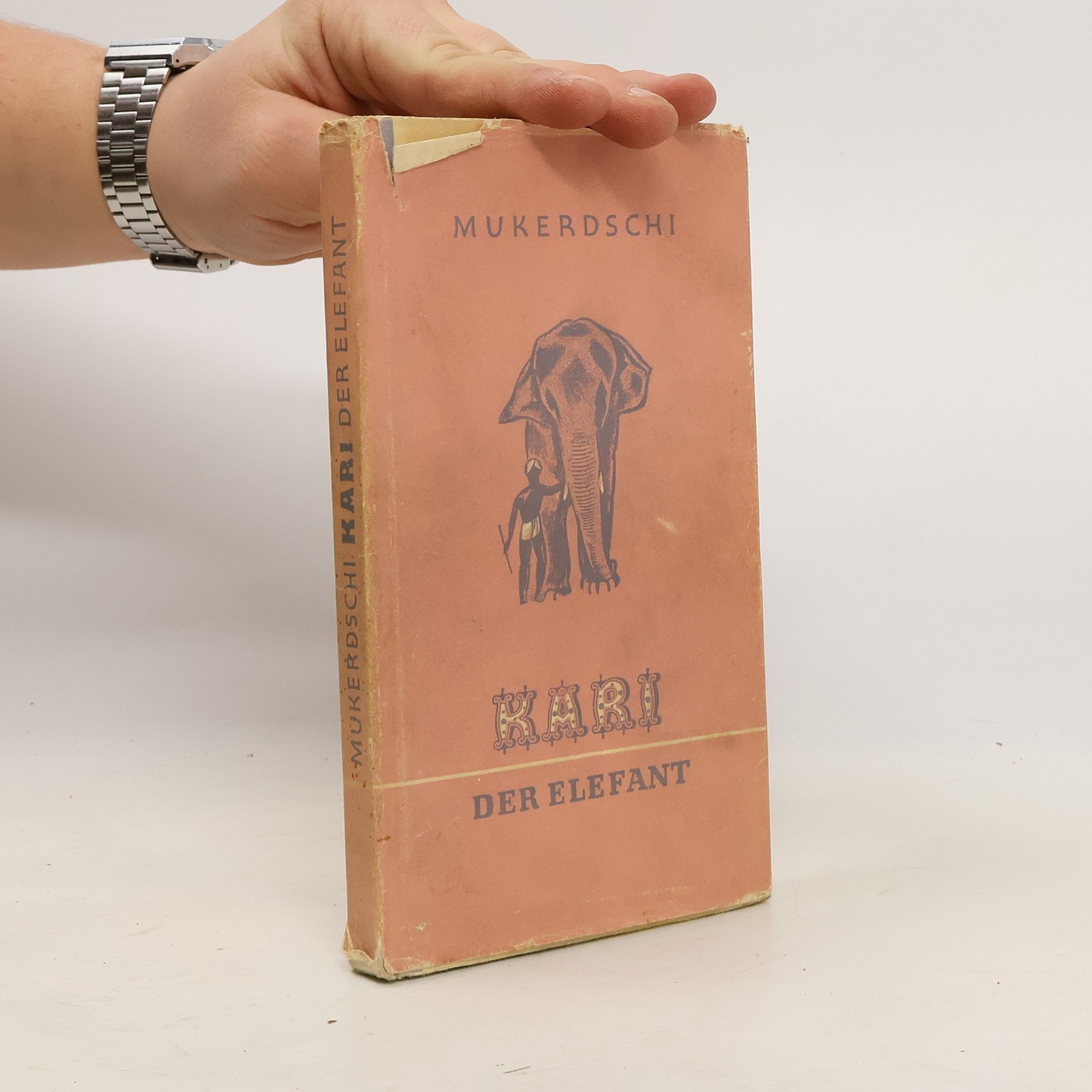 Mukerdschi Kari der Elefant