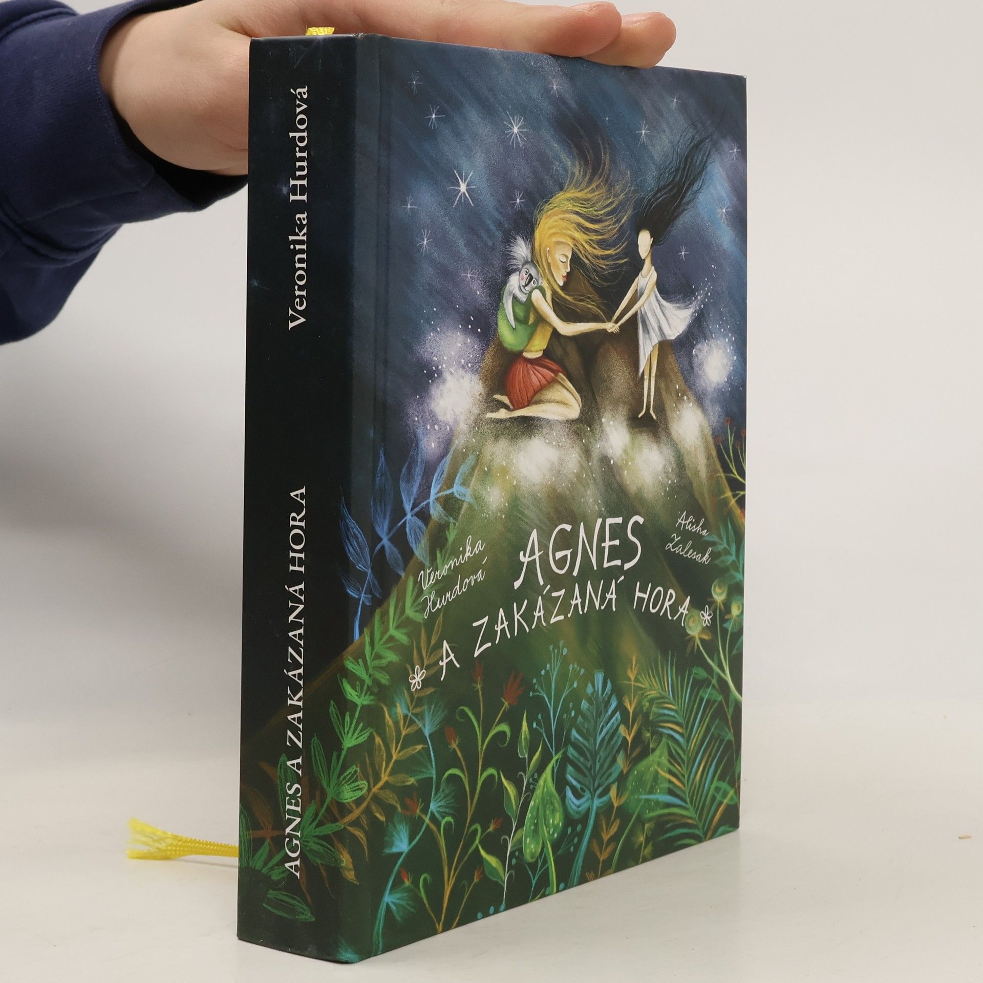 Veronika Hurdová Agnes a Zakázaná hora