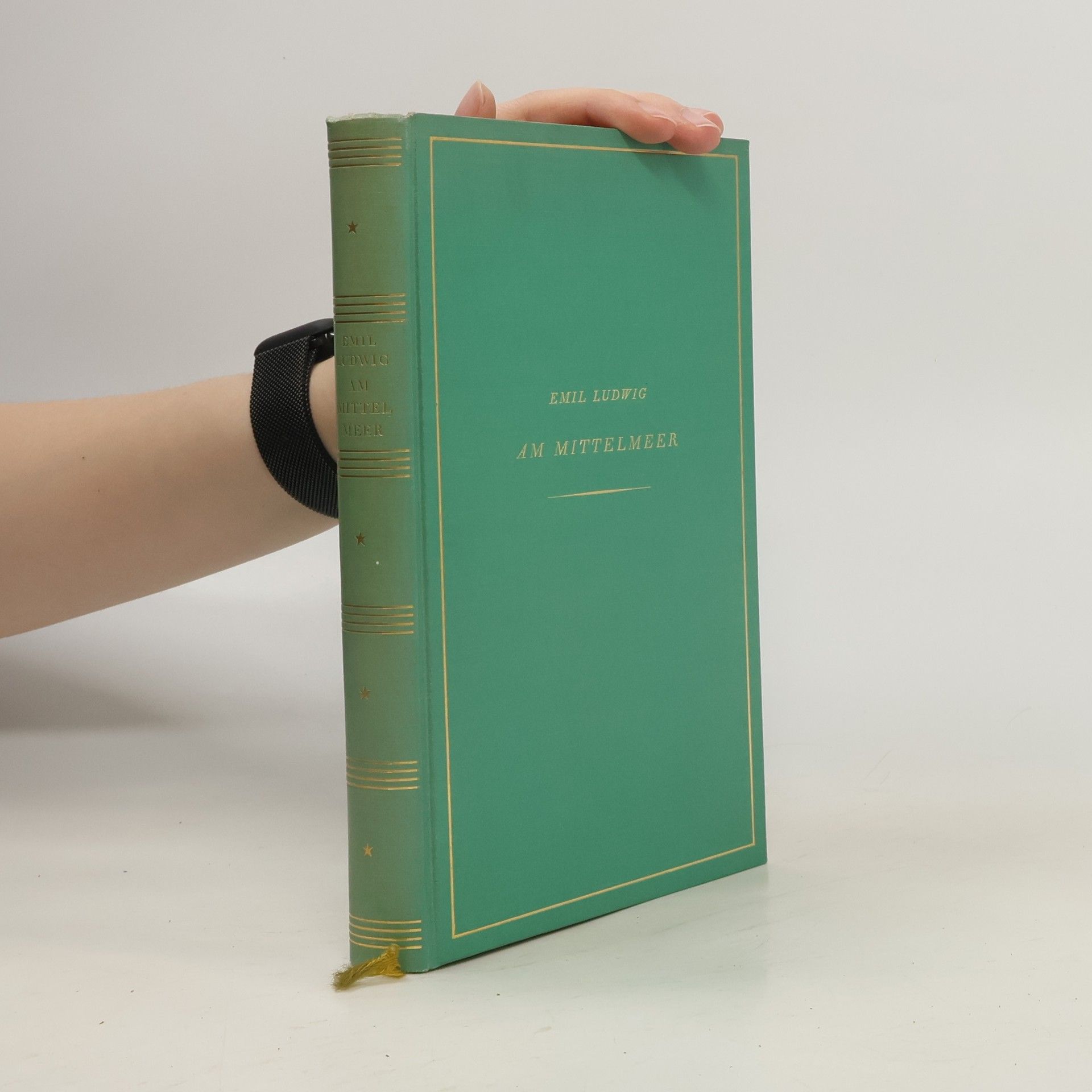 Emilie Ludwig Am Mittelmeer