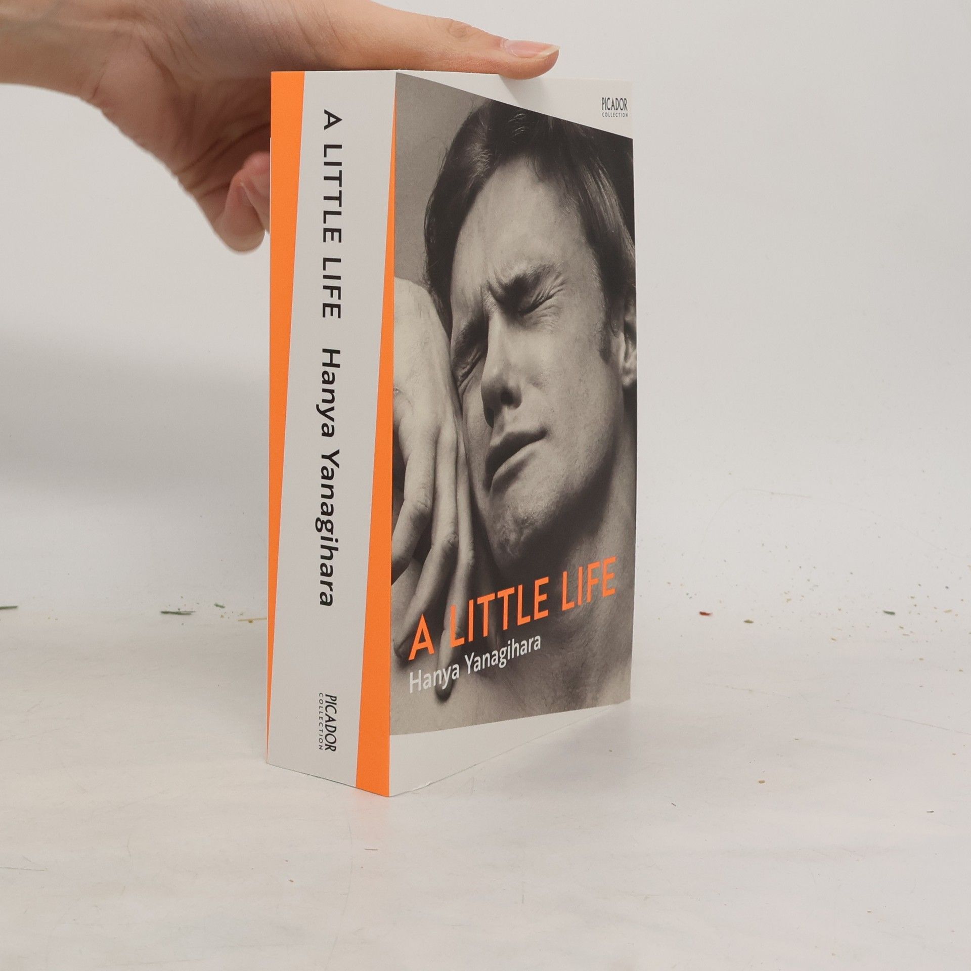Hanya Yanagihara A Little Life