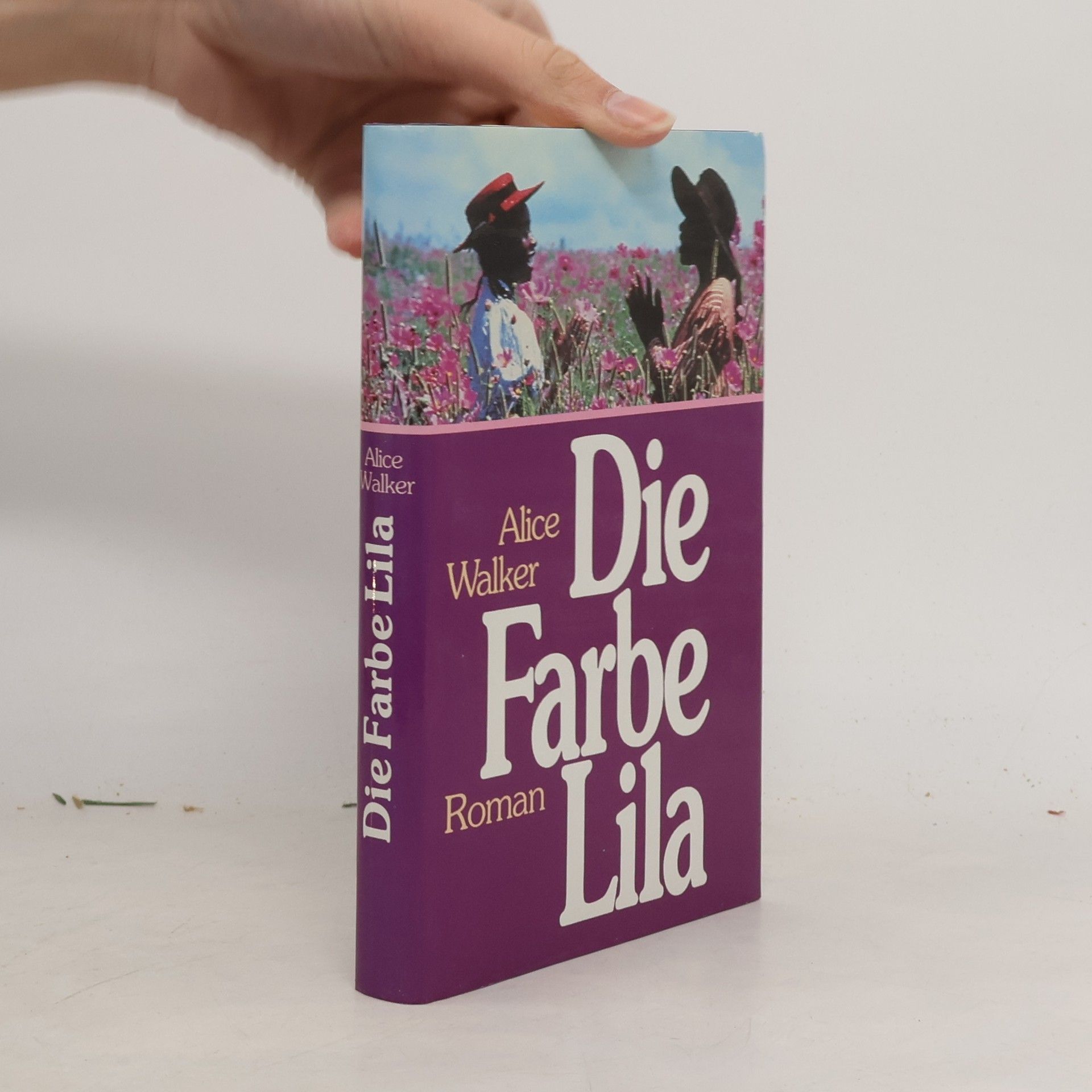 Alice Walker Die Farbe Lila