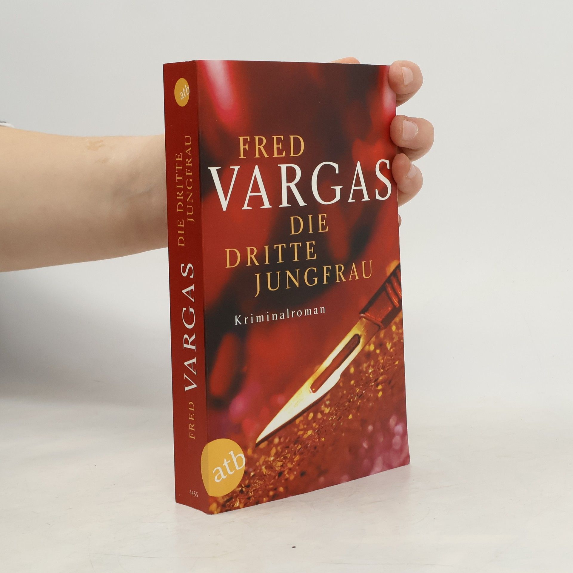 Fred Vargas Die dritte Jungfrau