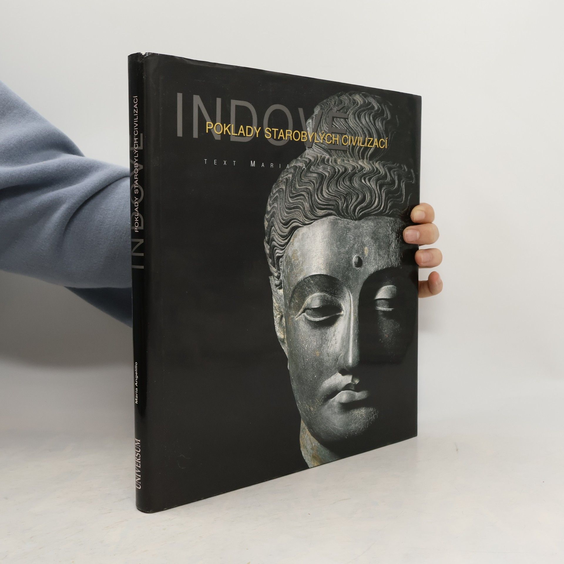 Maria Angelillo Indové. Poklady starobylých civilizací