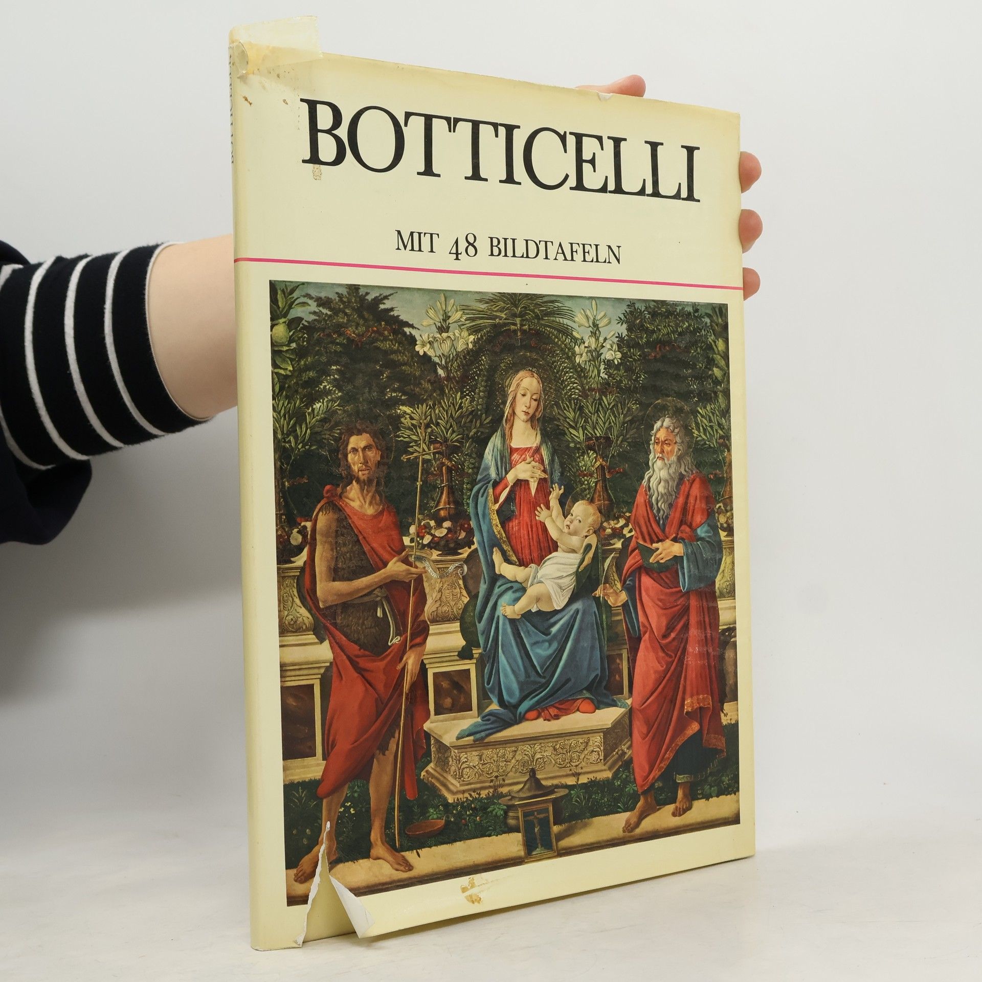 Collectif d'auteurs Botticelli