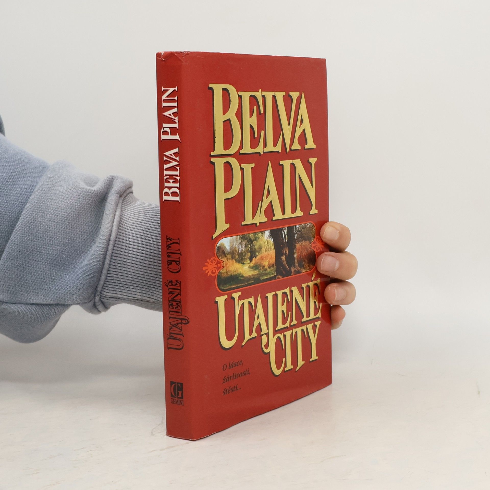 Belva Plain Utajené city