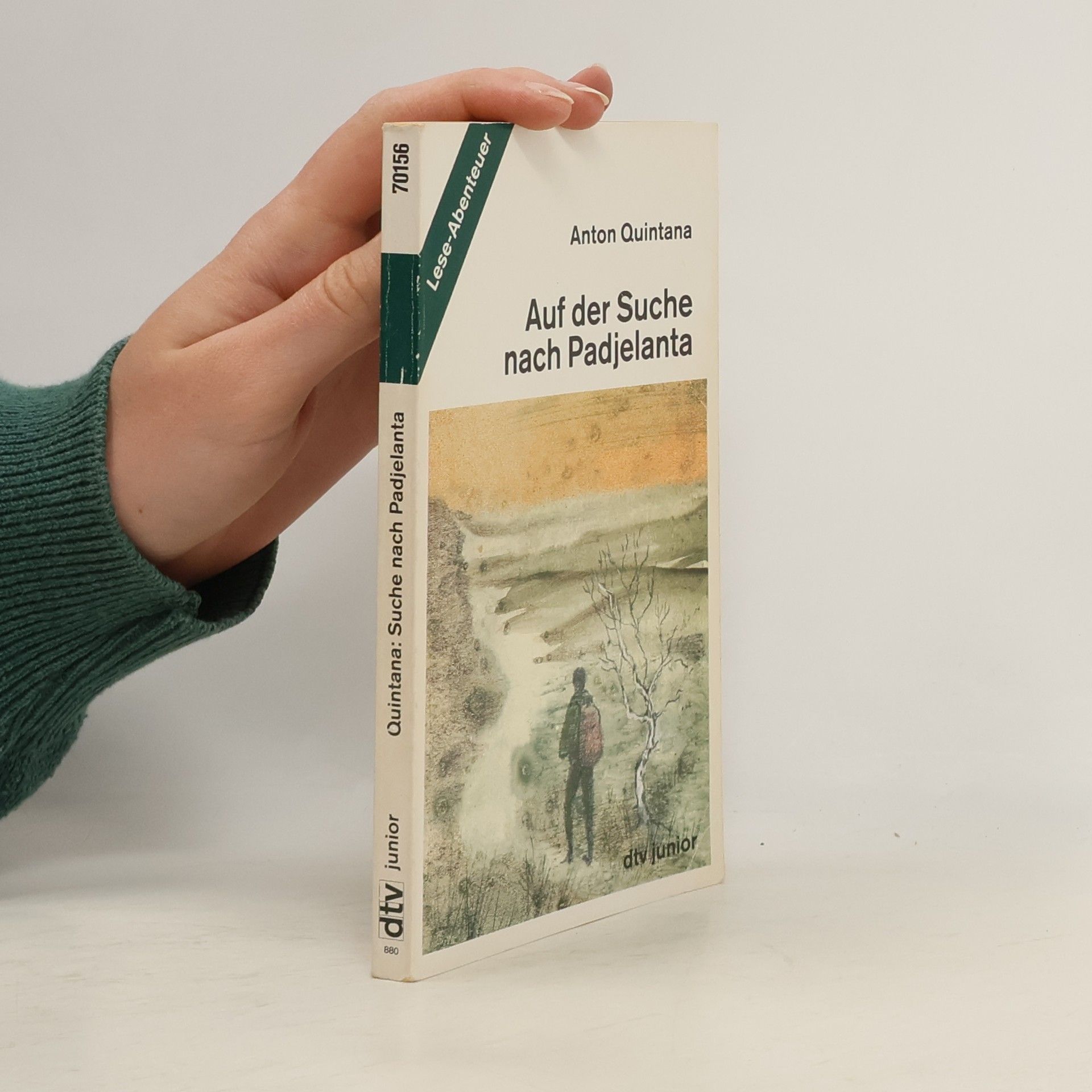 Anton Quintana Auf der Suche nach Padjelanta