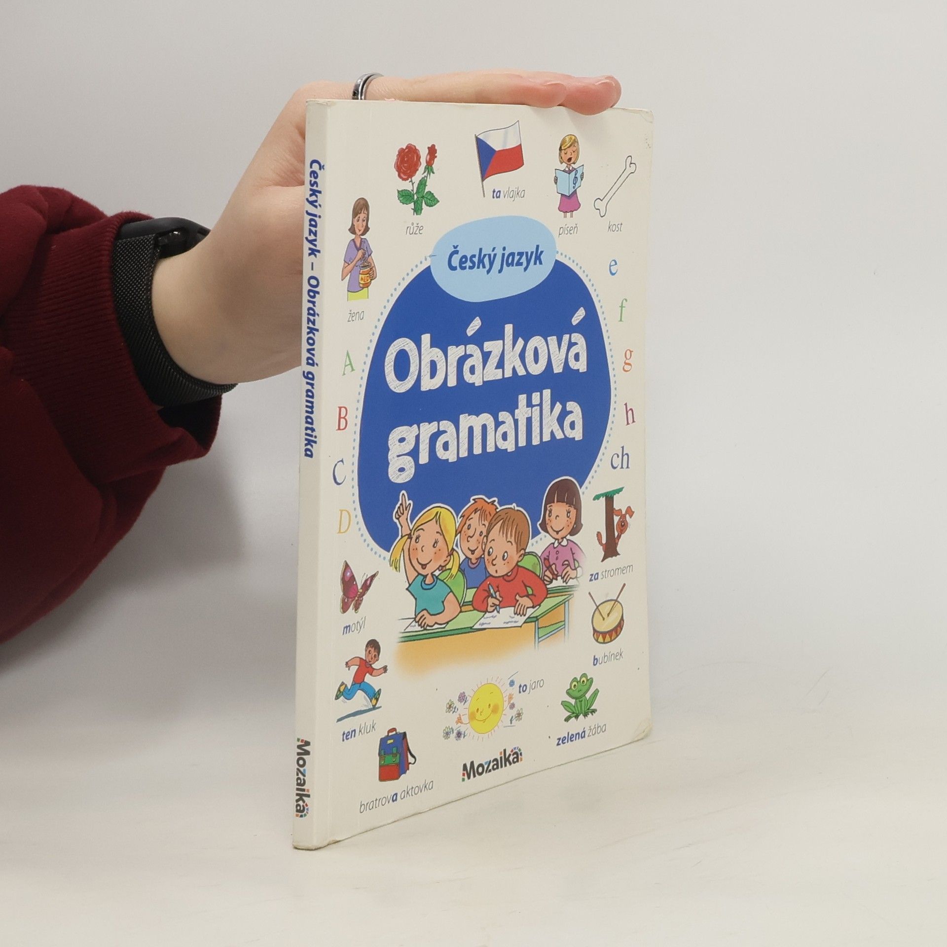 Antonín Šplíchal Český jazyk : obrázková gramatika