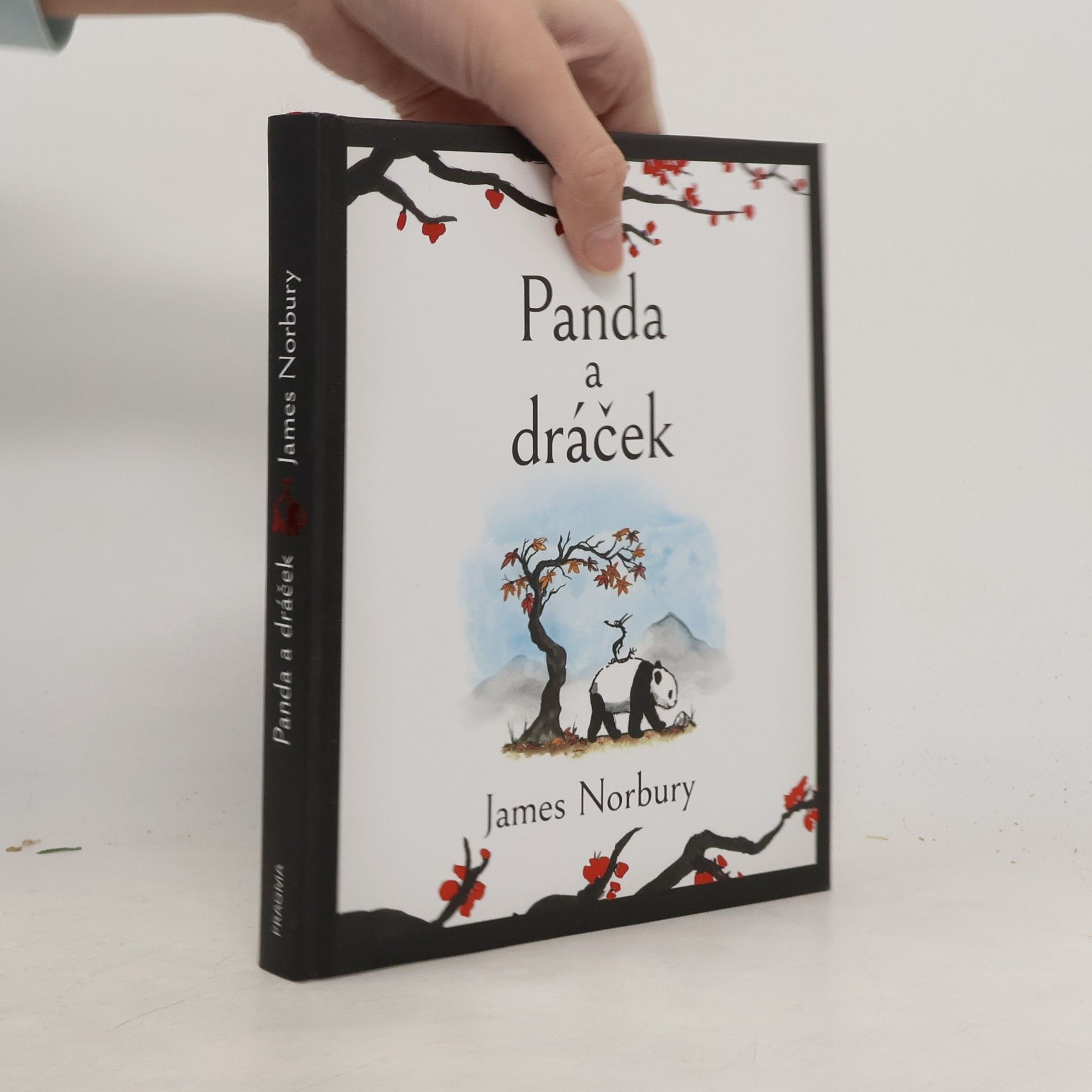 James Norbury Panda a dráček
