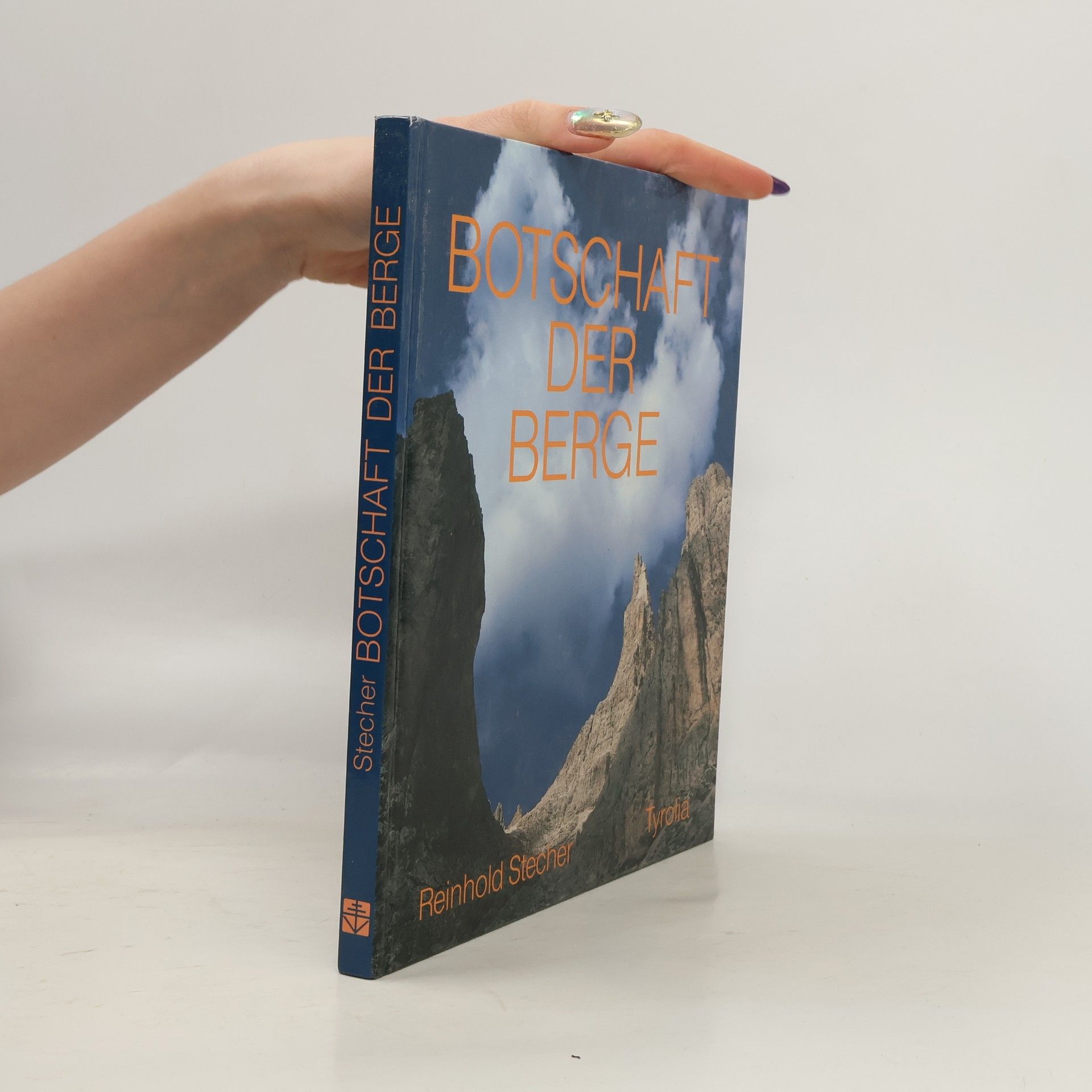 Reinhold Stecher Botschaft der Berge