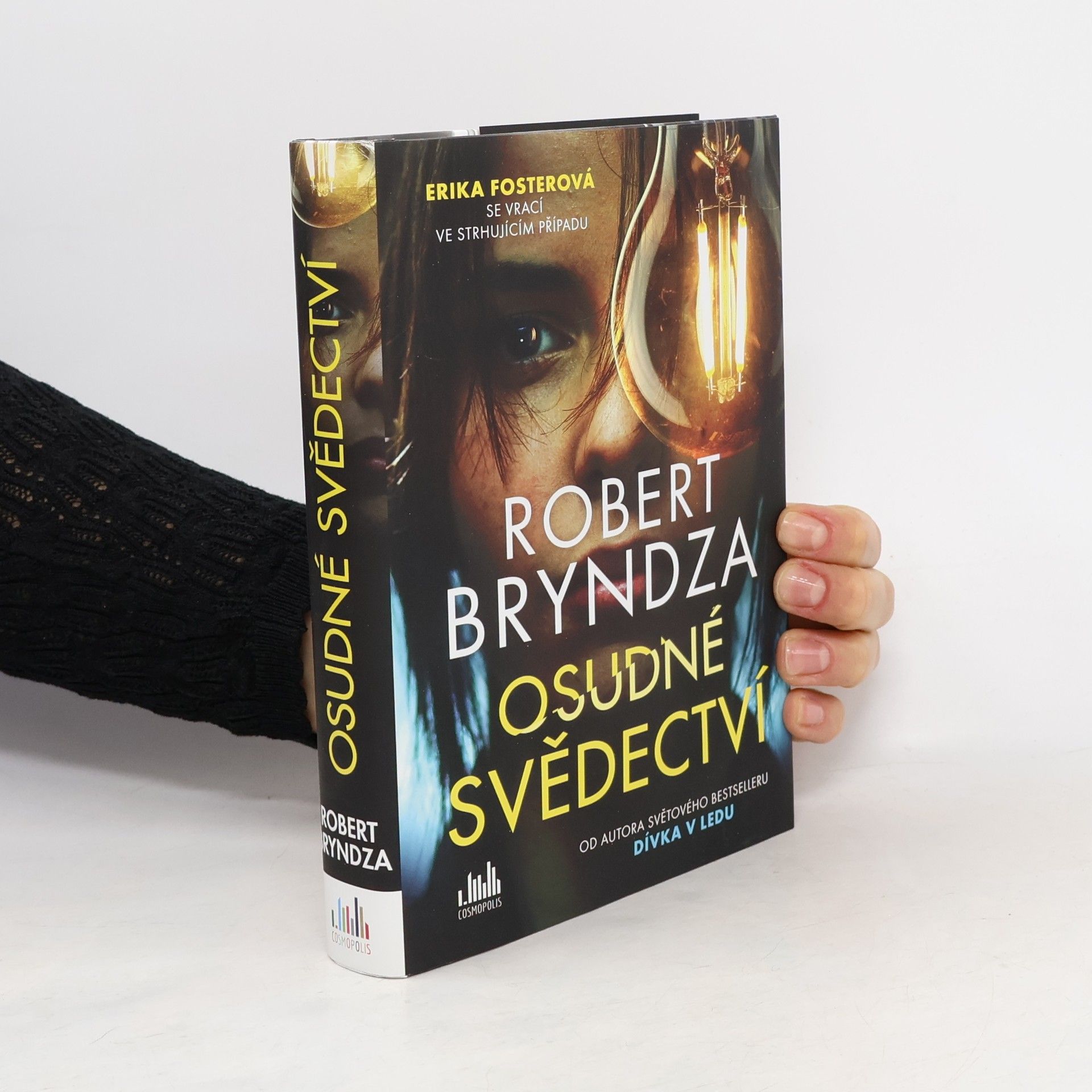 Robert Bryndza Osudné svědectví