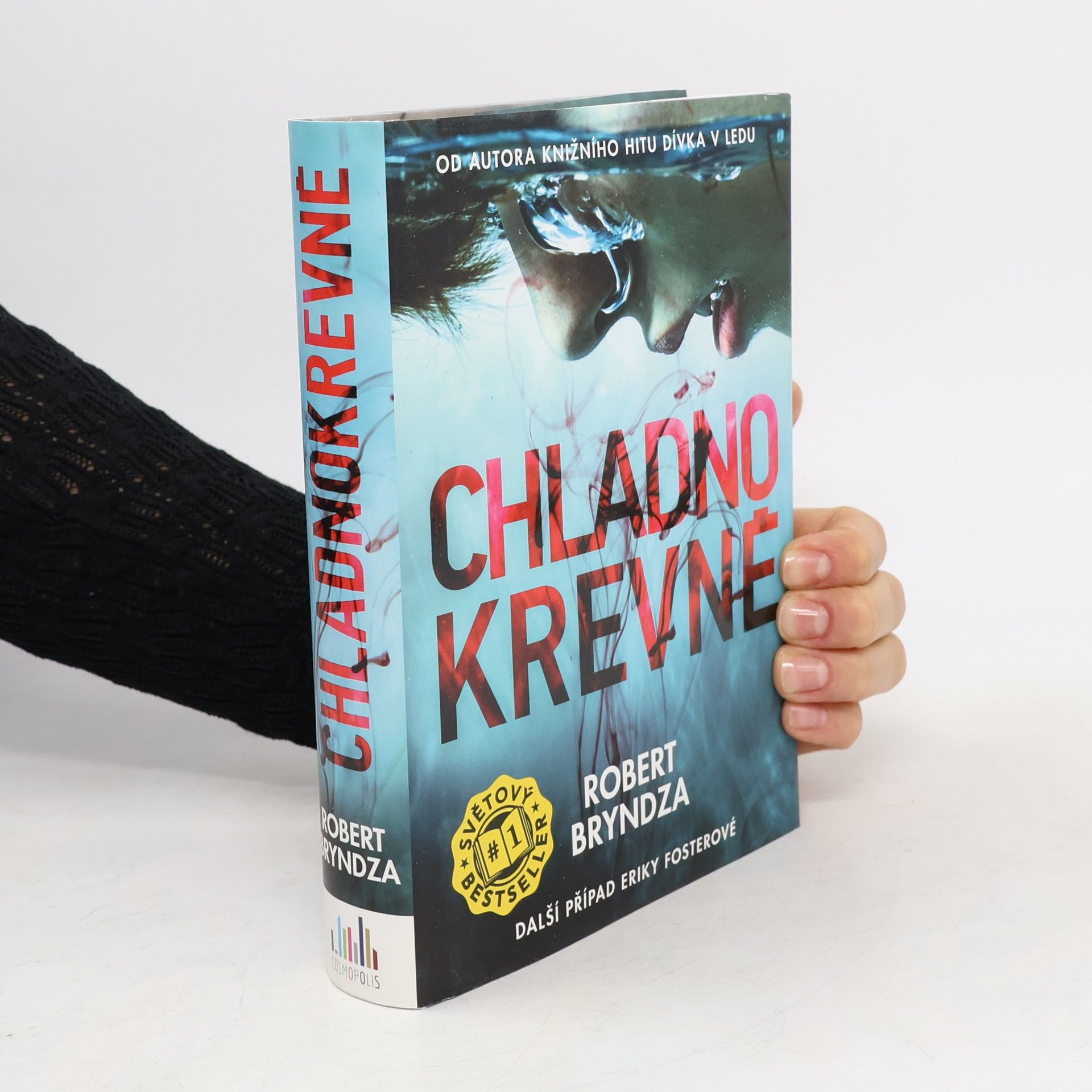 Robert Bryndza Chladnokrevně