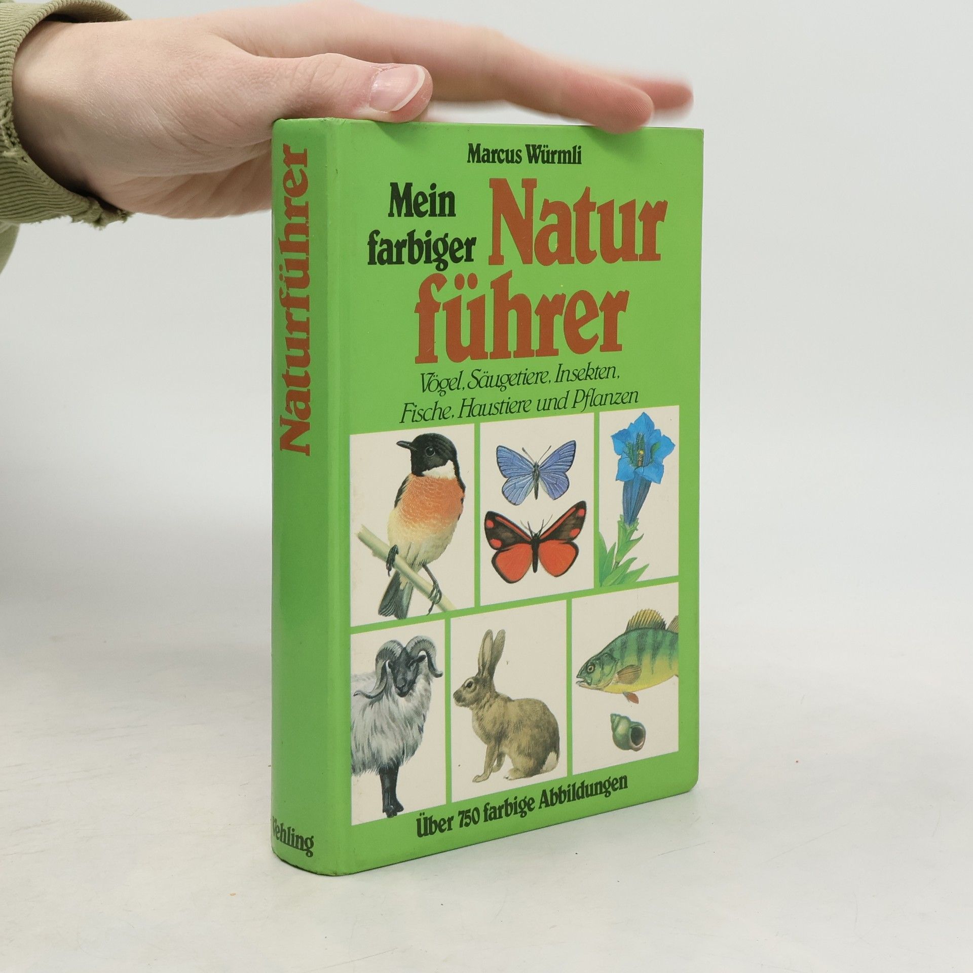 Marcus Würmli Mein farbiger Naturführer