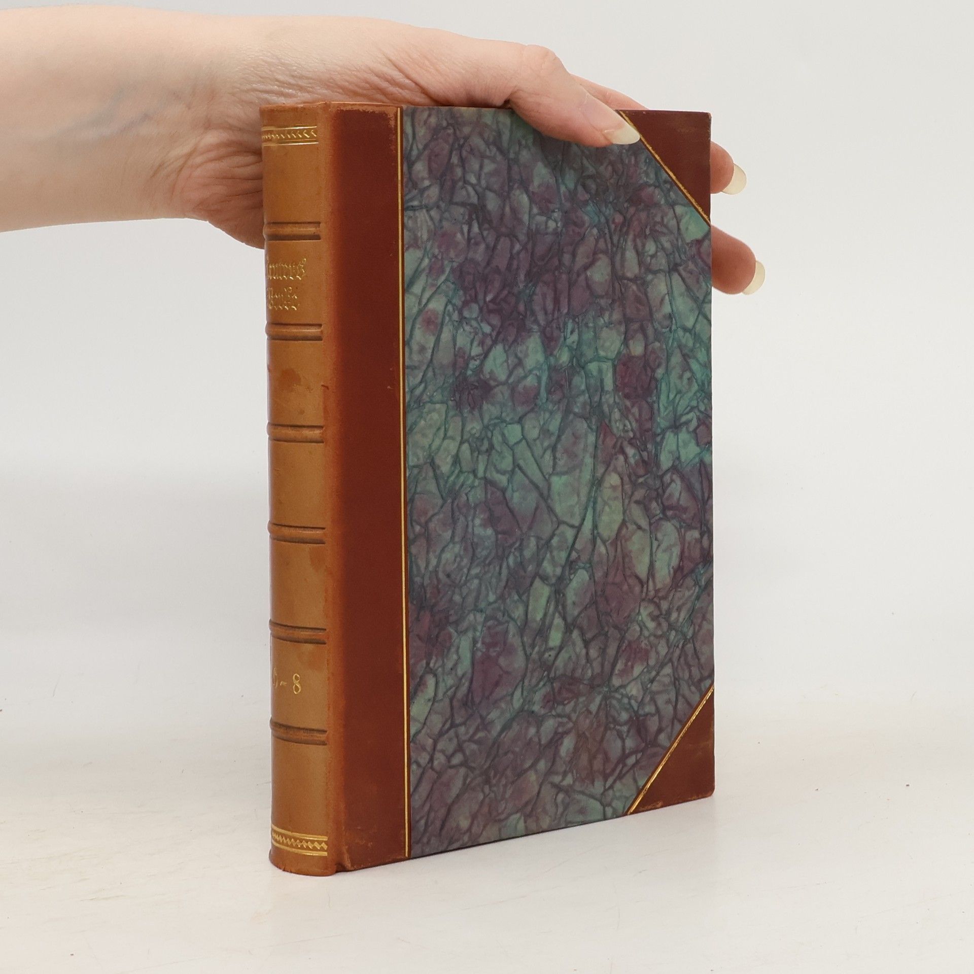 Fritz Reuters ausgewählte Werke in acht Doppelbänden. Sechster Doppelband,Band 11 und 12