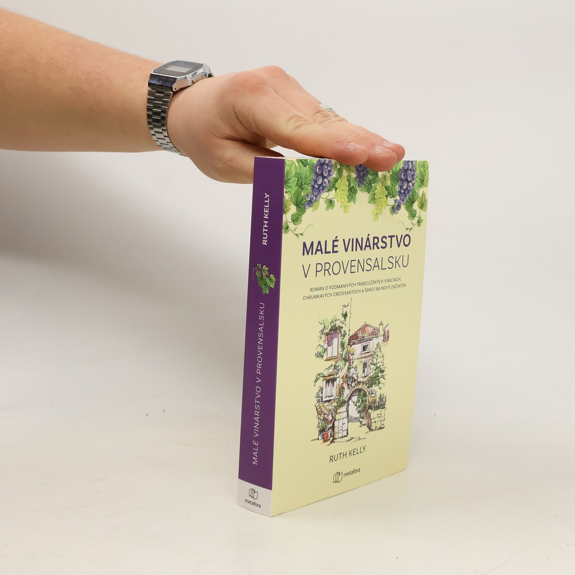 Malé Vinárstvo v Provensálsku