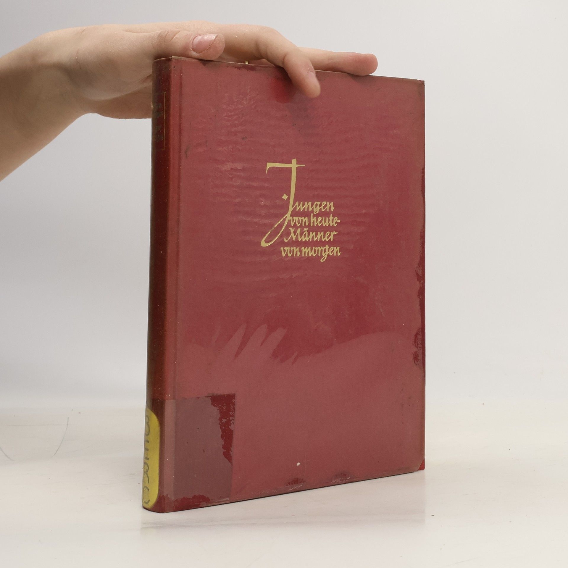 Auteurscollectief Jungen von heute - Männer von morgen